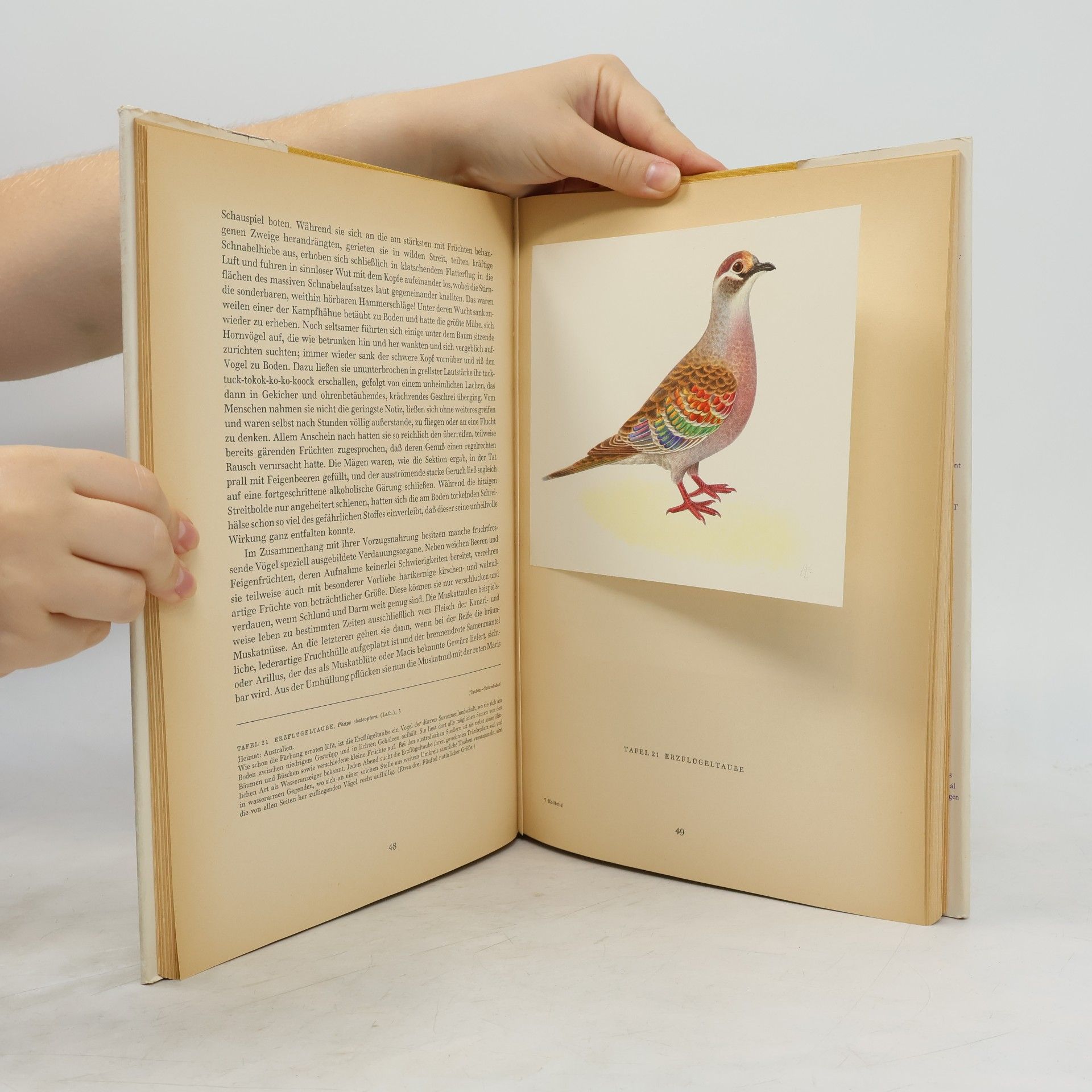 Walter Linsenmaier Oiseaux de paradis et colibris