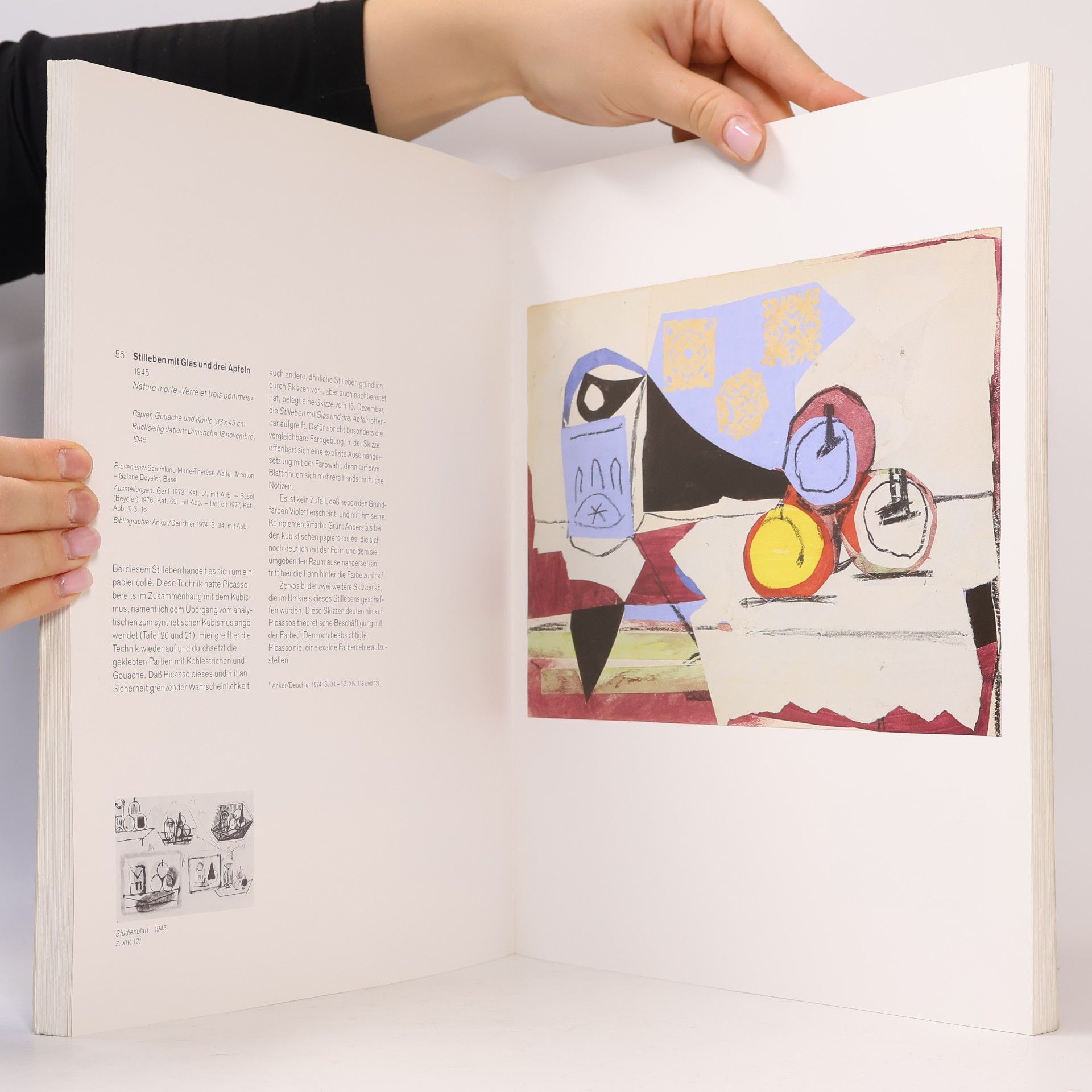 Various authors Picasso. Die Sammlung Ludwig
