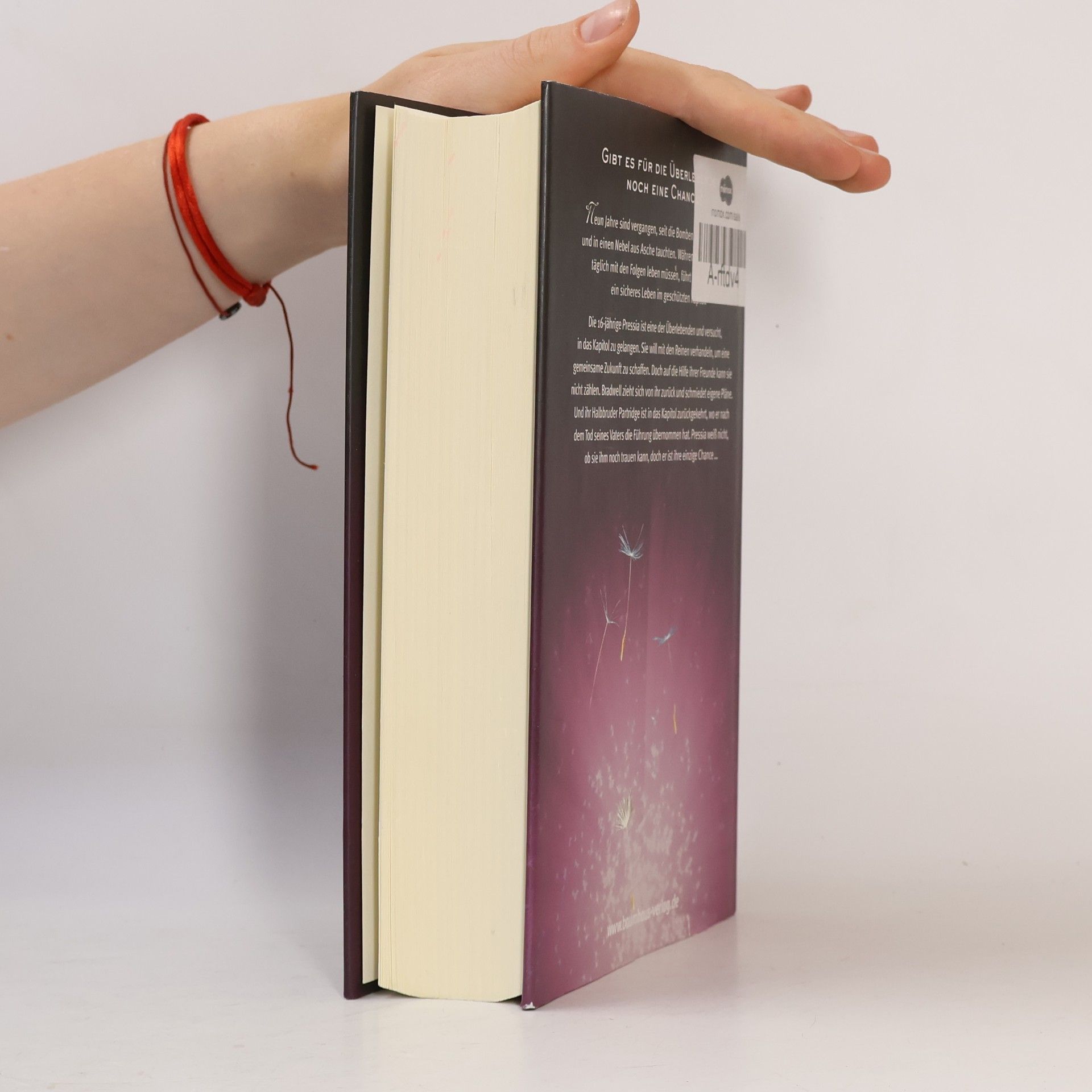 Bridget Asher Memento - Der Neubeginn