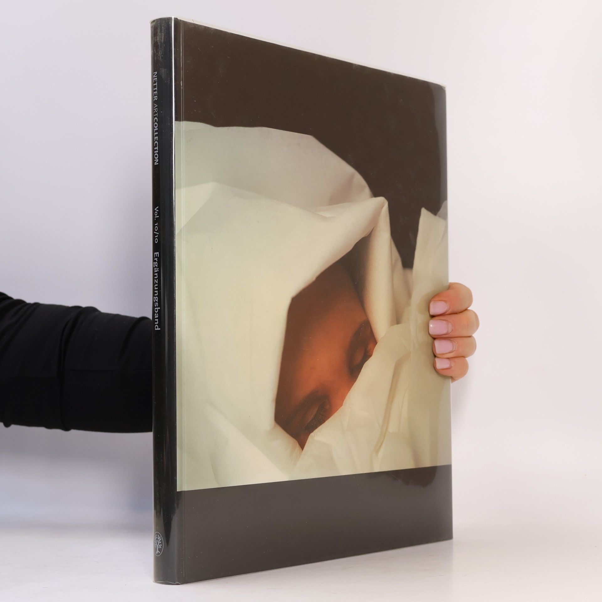 Martin Stauch Netter art collection