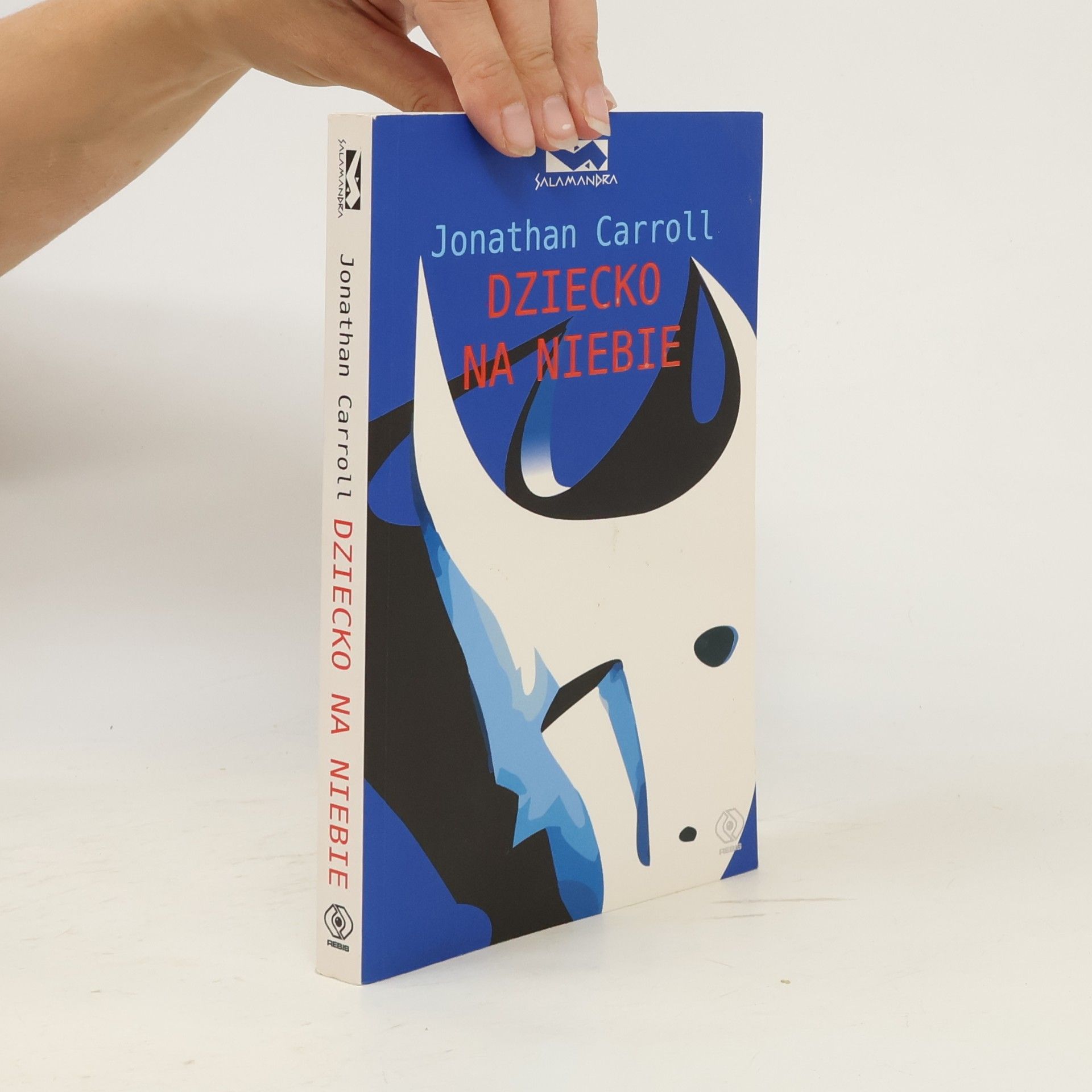 Jonathan Carroll Dziecko na niebie