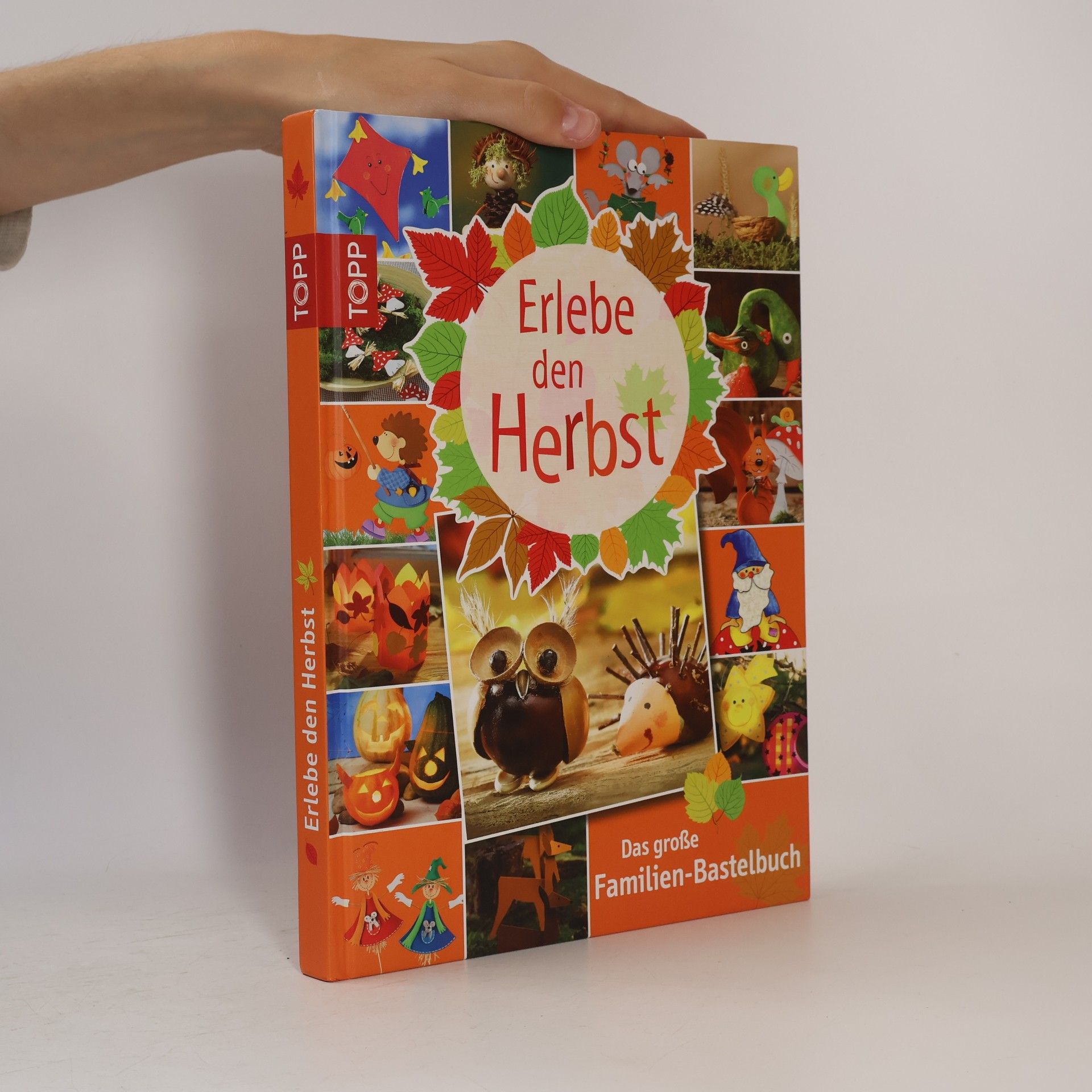 Various authors Erlebe den Herbst