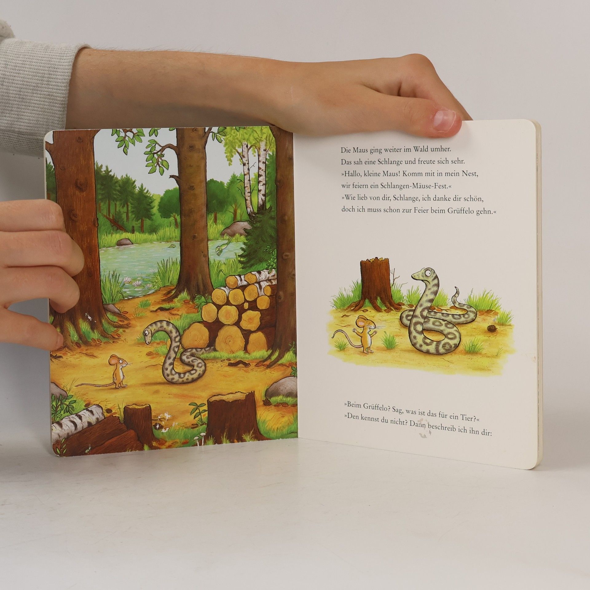 Axel Scheffler Der Grüffelo