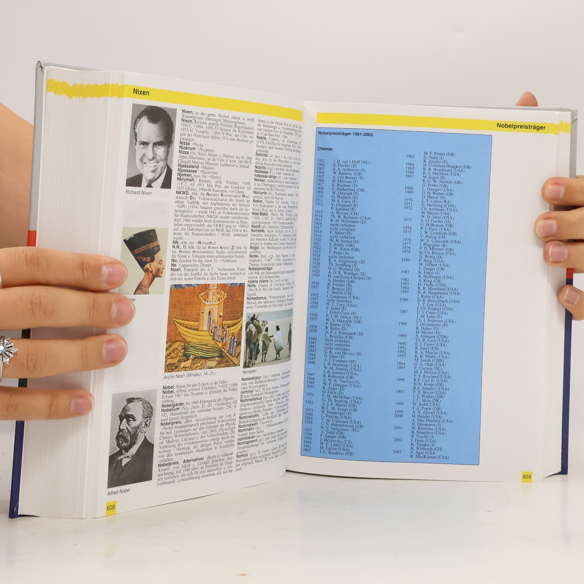 Various authors Neues Grosses Lexikon in Farbe