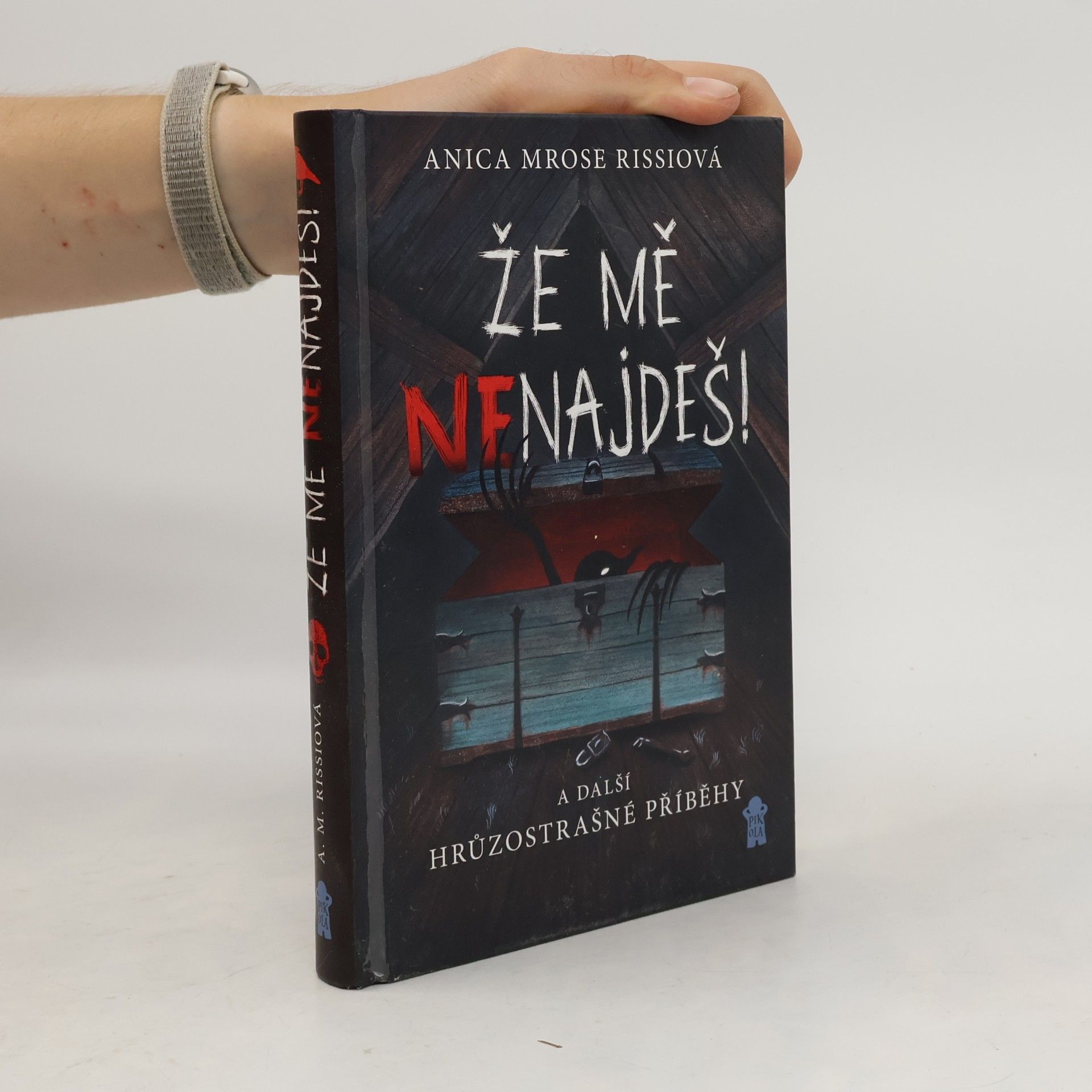 Anica Mrose Rissi Že mě nenajdeš! A další hrůzostrašné příběhy