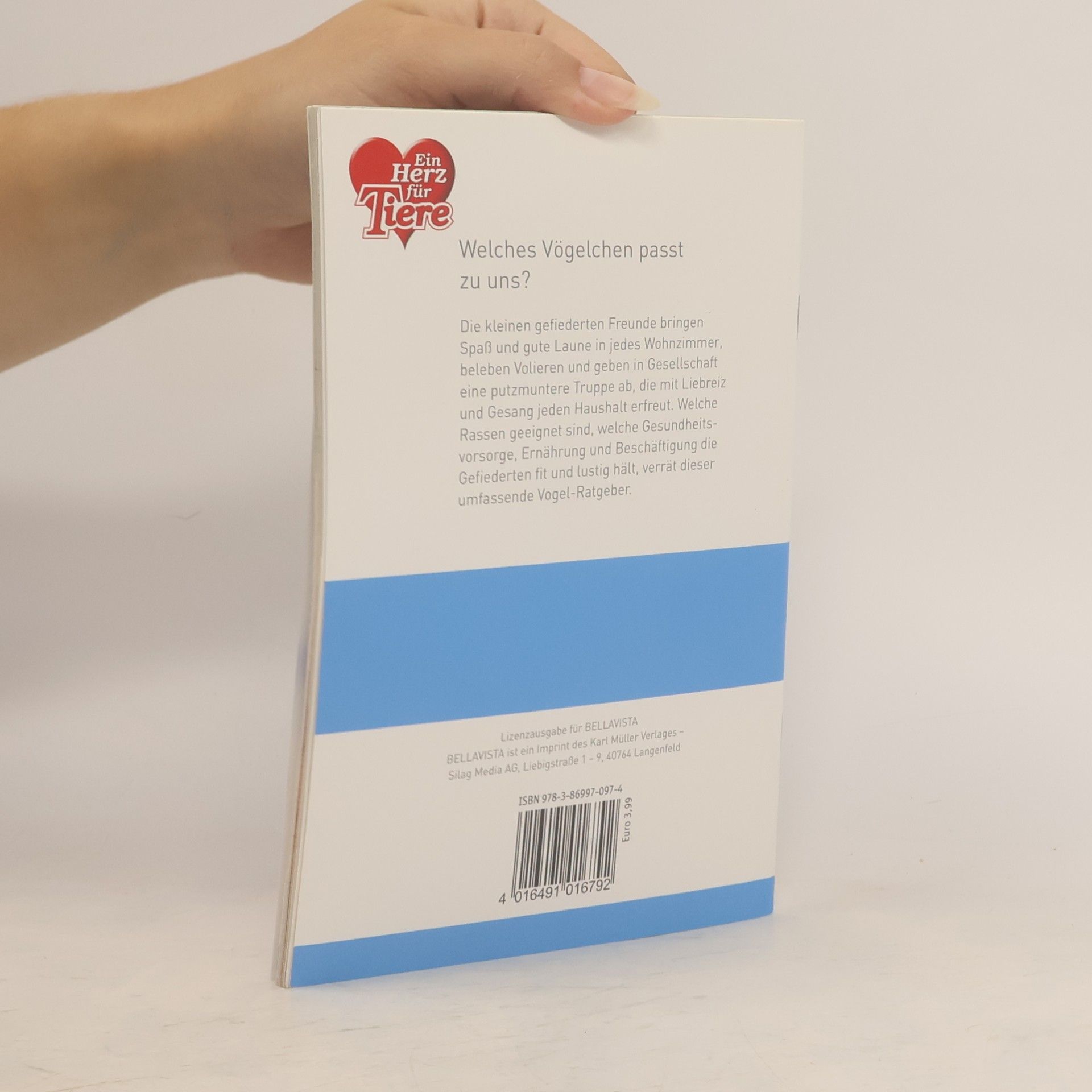 Autorenkollektiv Wellness für Vögel