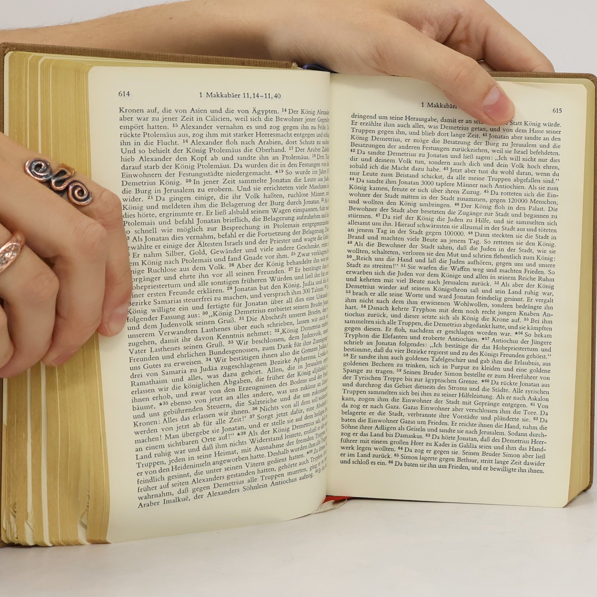Autores varios Die heilige Schrift Des Alten und Des Neuen Bundes