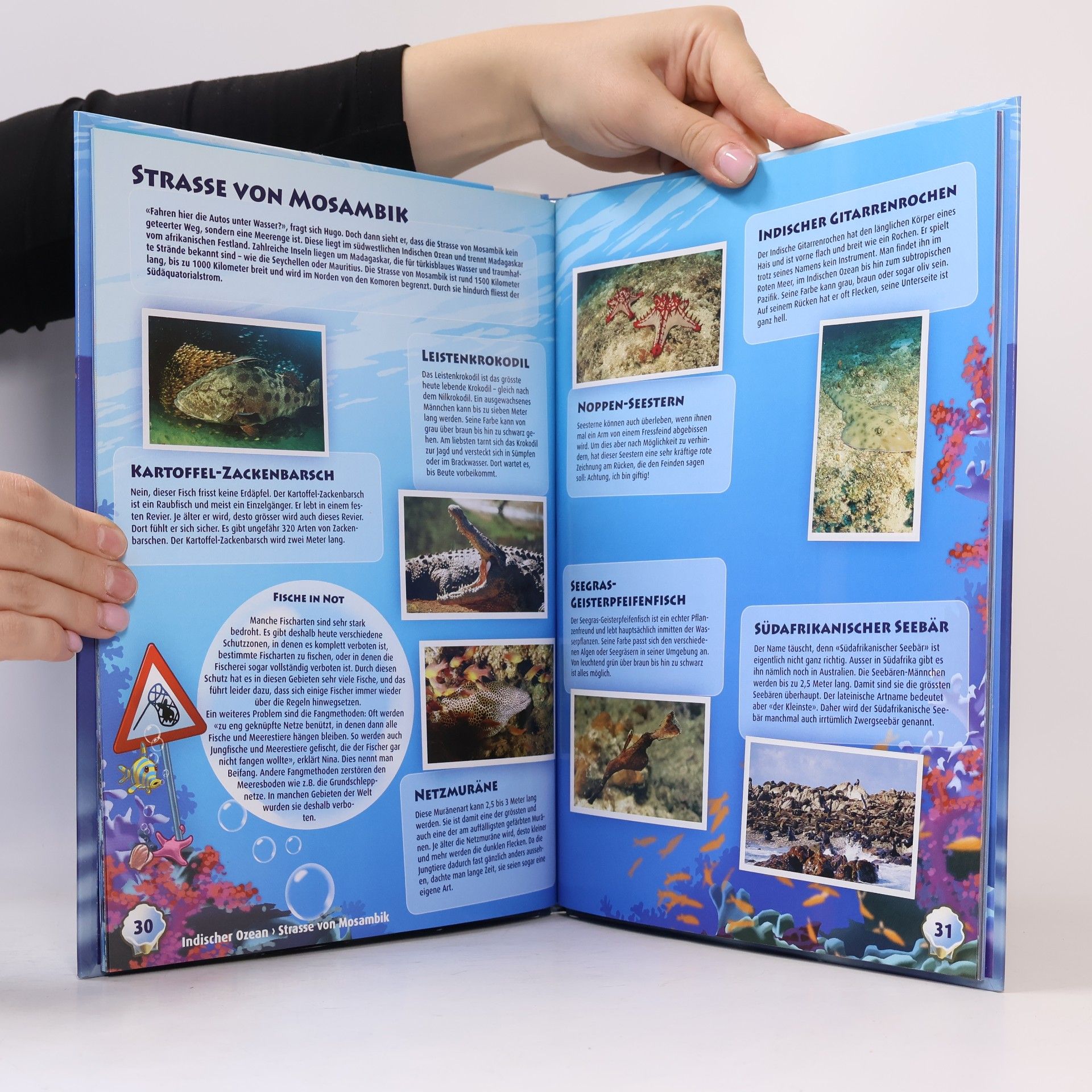 Autorenkollektiv Lilibiggs Ocean Mania – Abenteuer Weltmeere