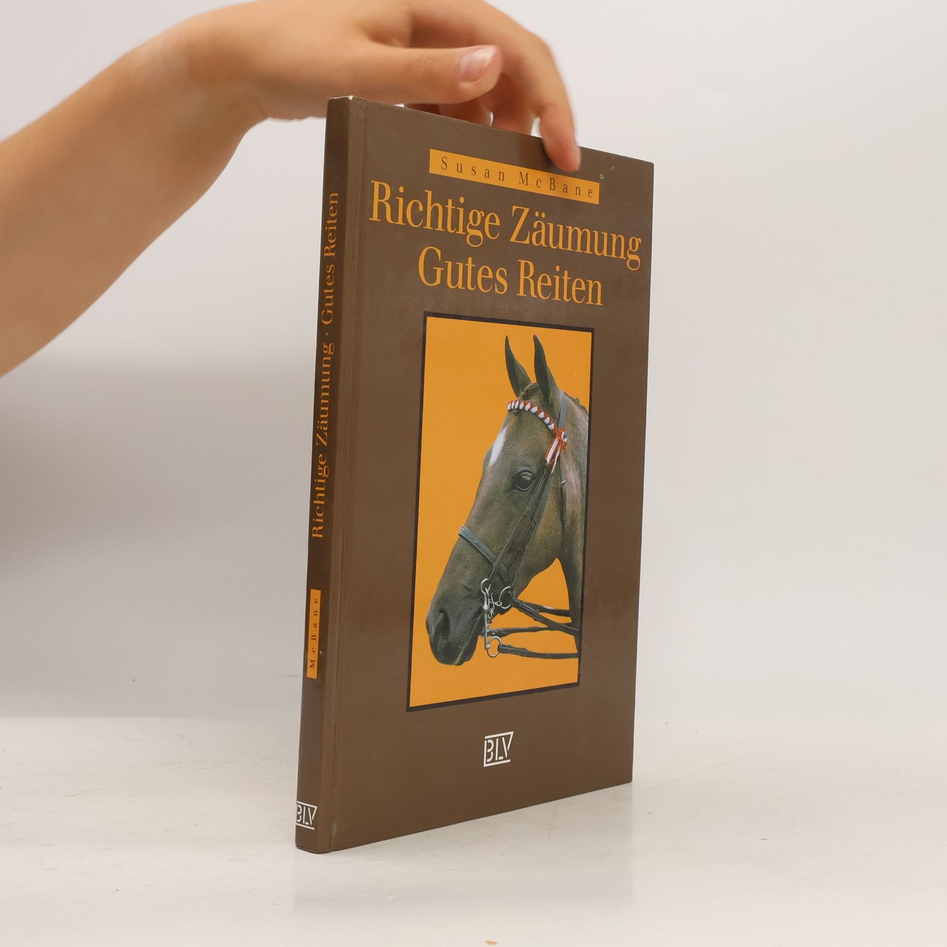 Richtige Zäumung, gutes Reiten