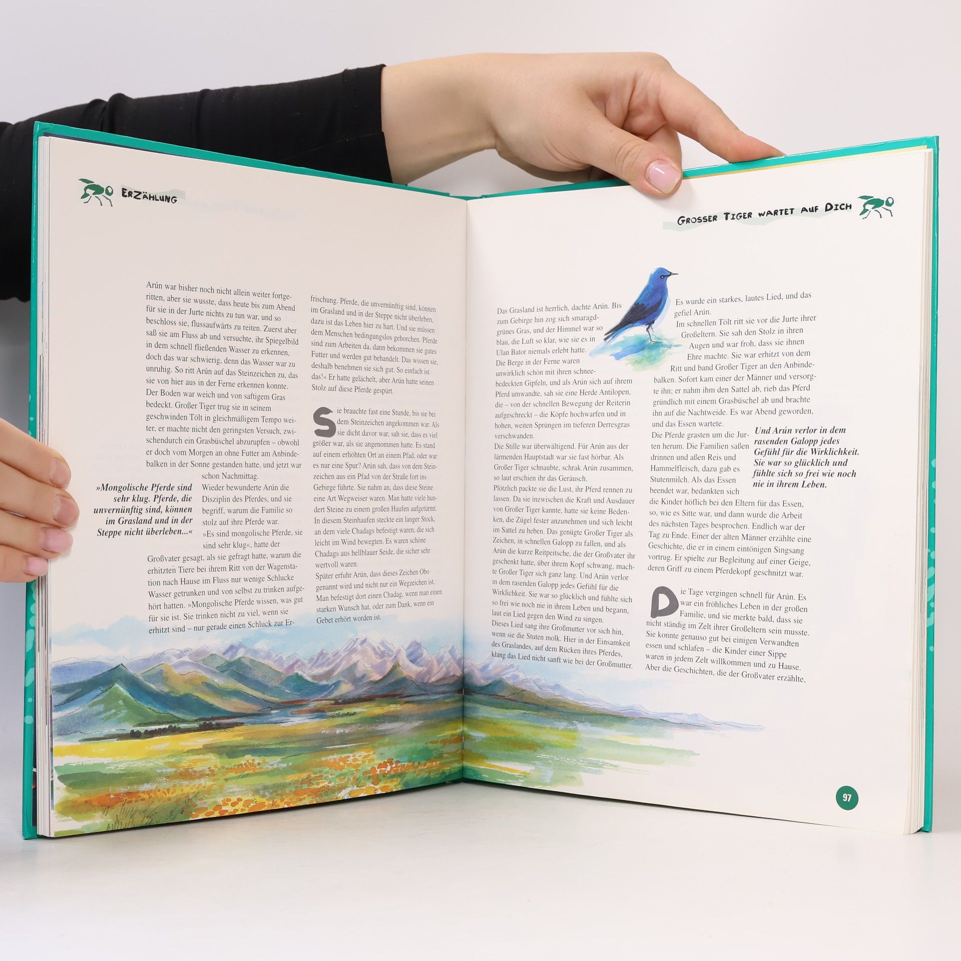 Autorenkollektiv Das Grosse Jugendbuch 1997/1998