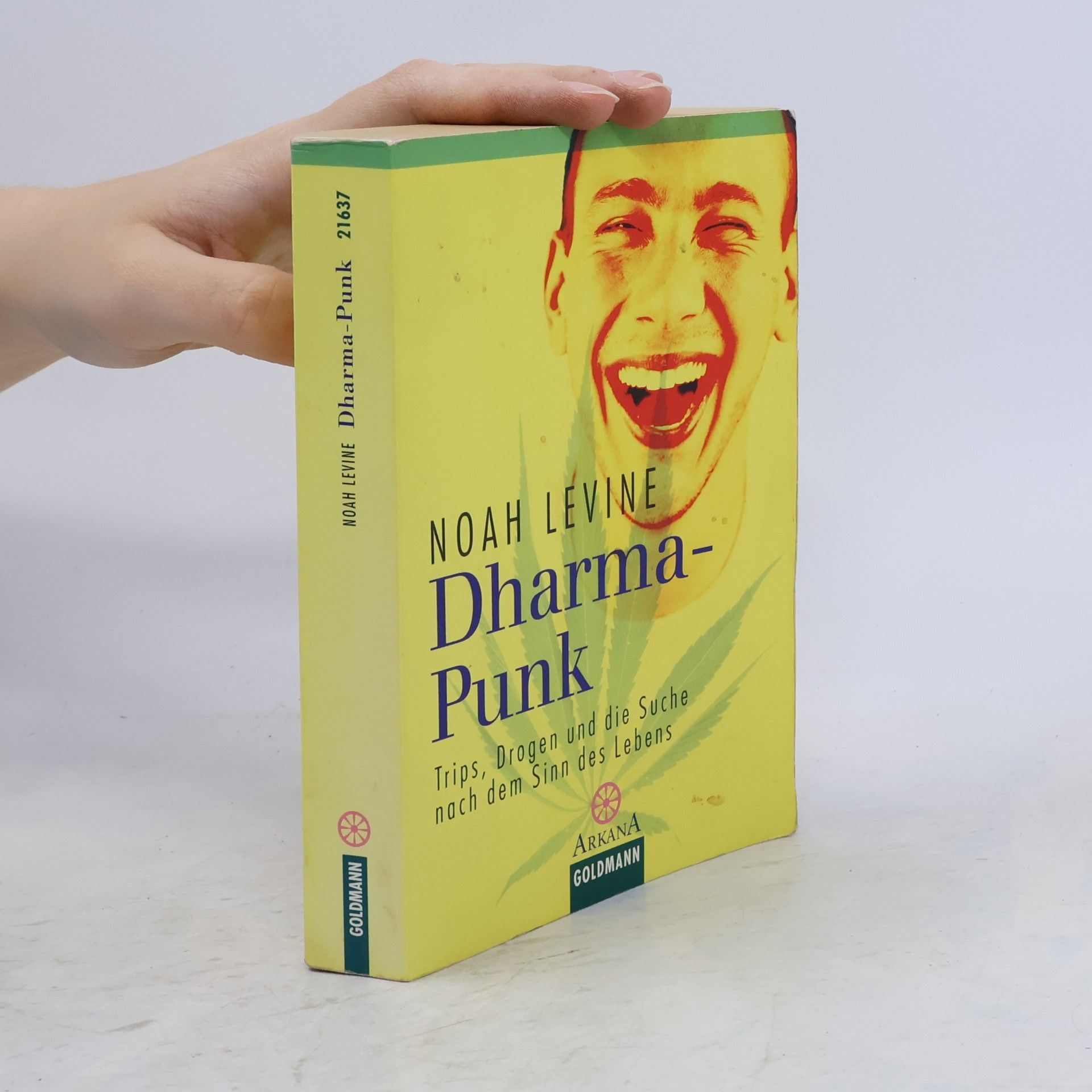 Noah Levine Dharma-Punk