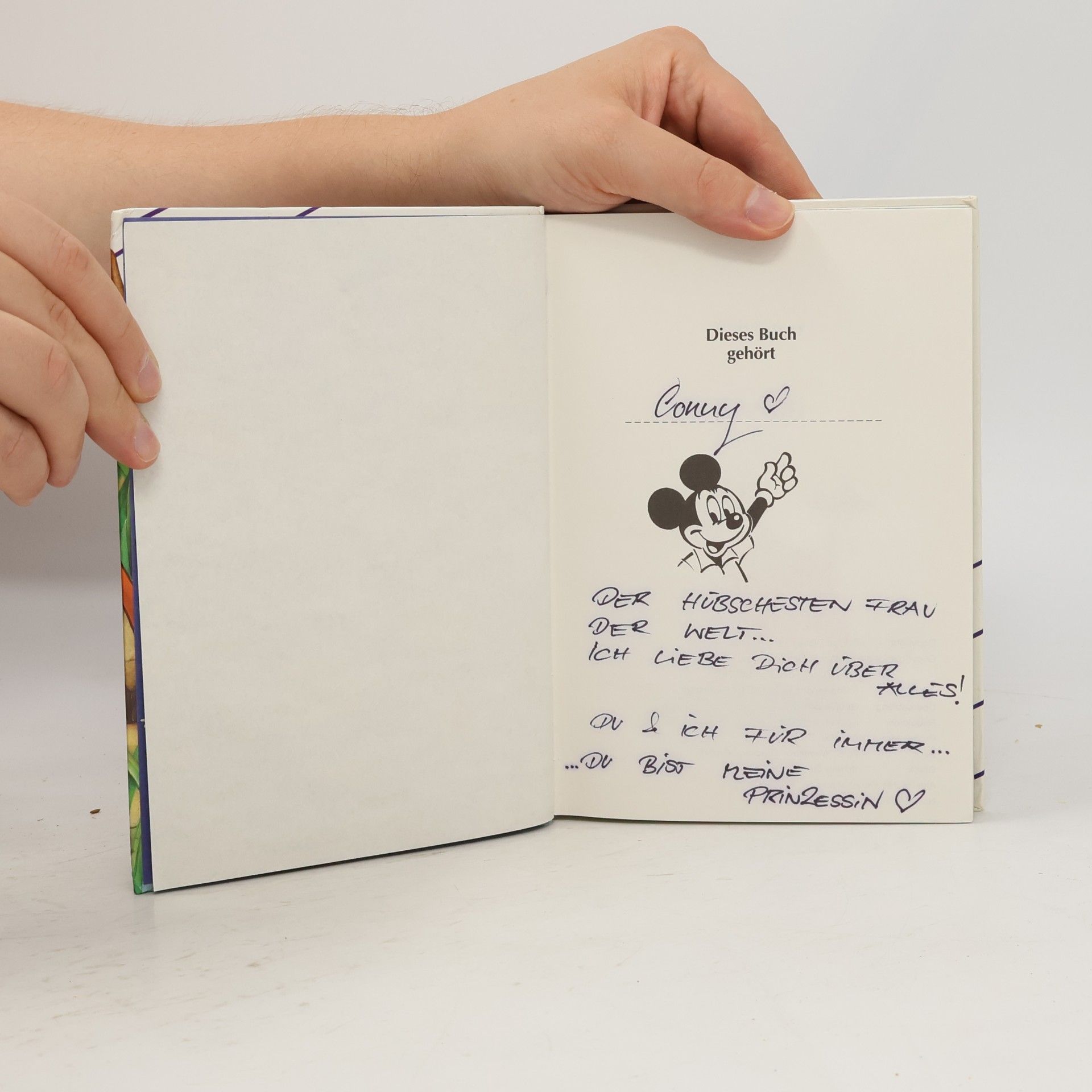 Autorenkollektiv Mickys Junior-Buch. Bambi