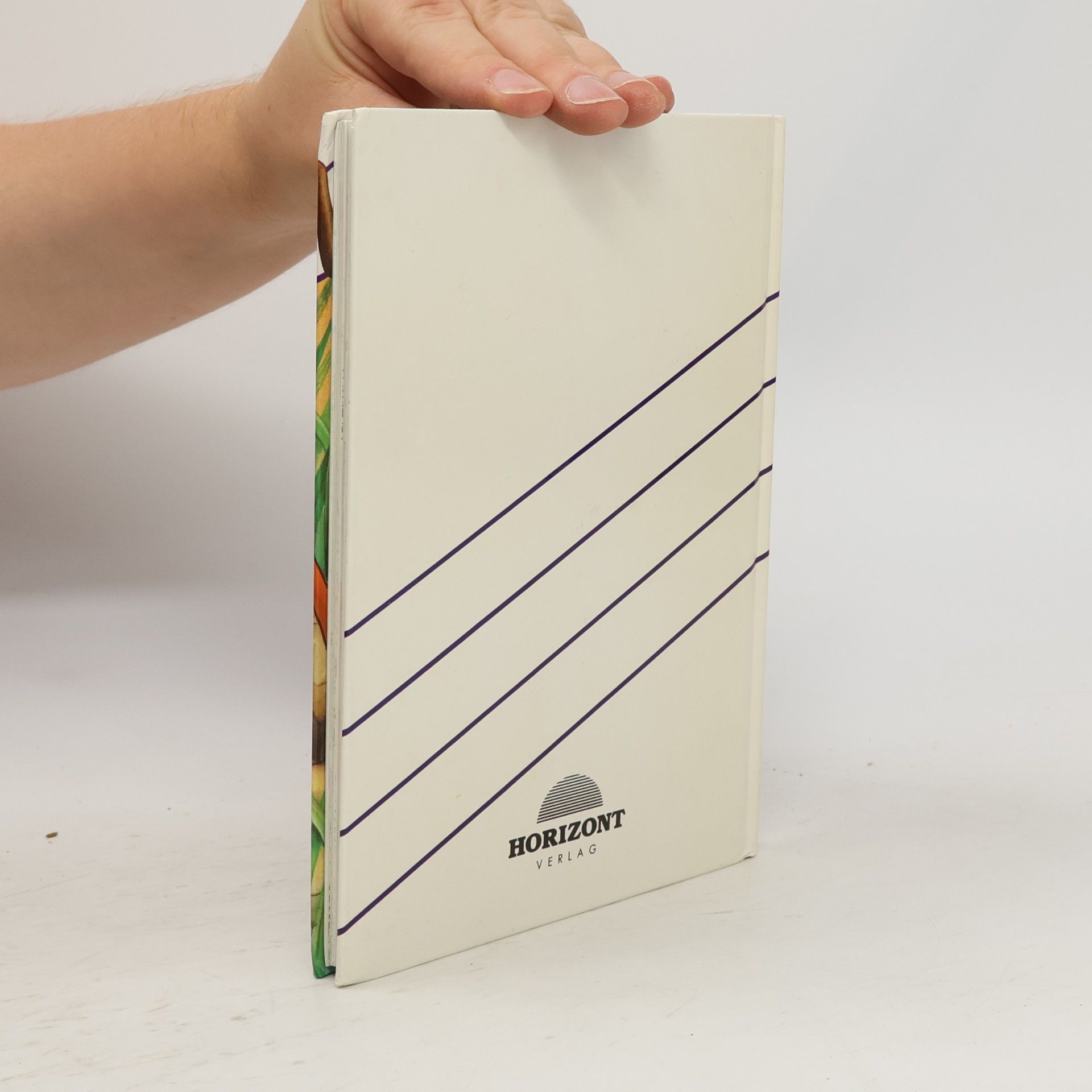 Autorenkollektiv Mickys Junior-Buch. Bambi