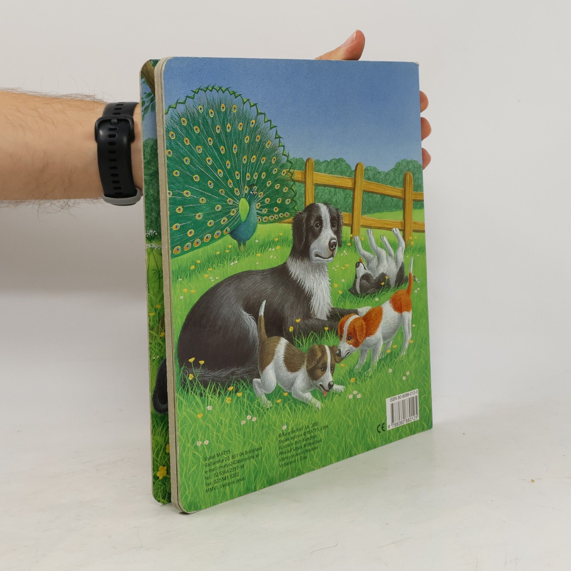Autorenkollektiv Zvedavé šteniatko Dino