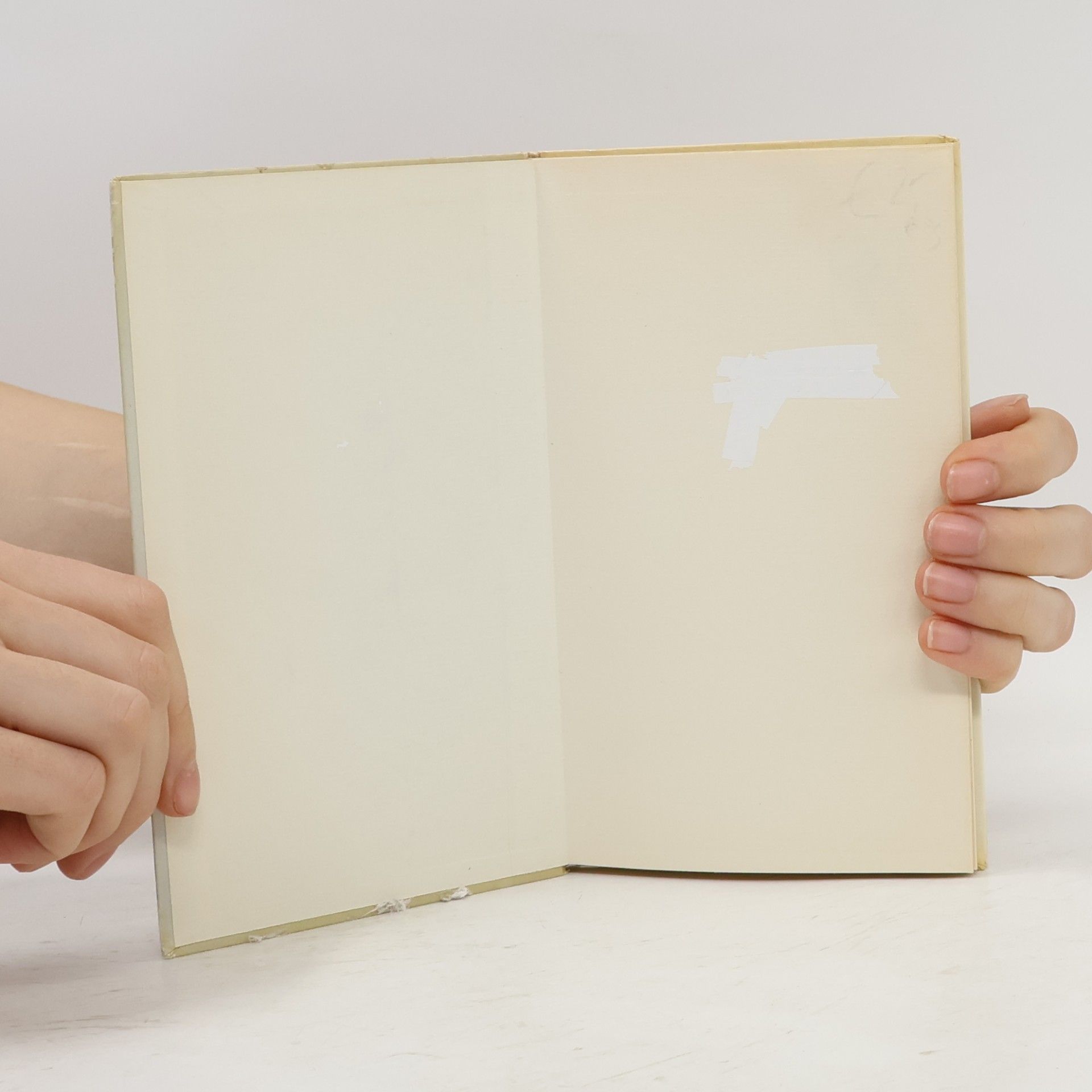 Else Hueck-Dehio Tipsys sonderliche Liebesgeschichte