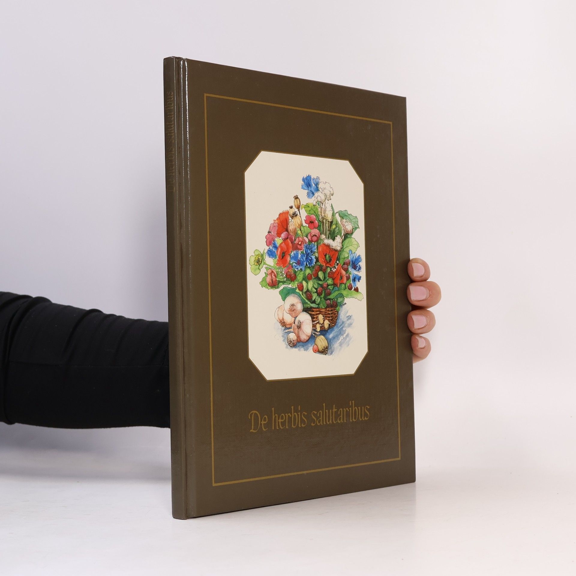 Autorenkollektiv De herbis salutaribus