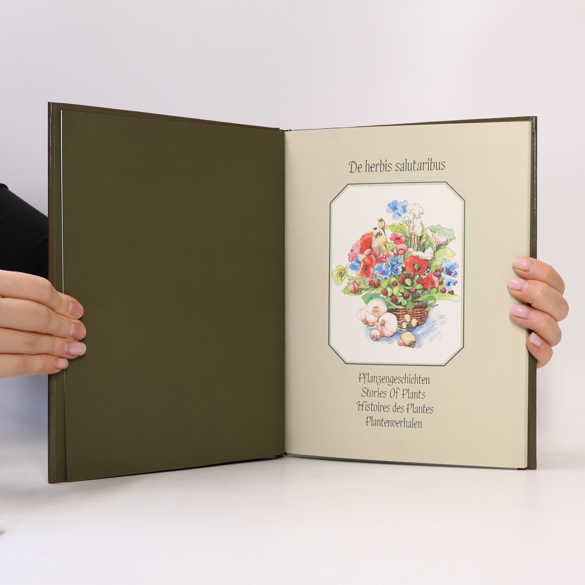 Autorenkollektiv De herbis salutaribus