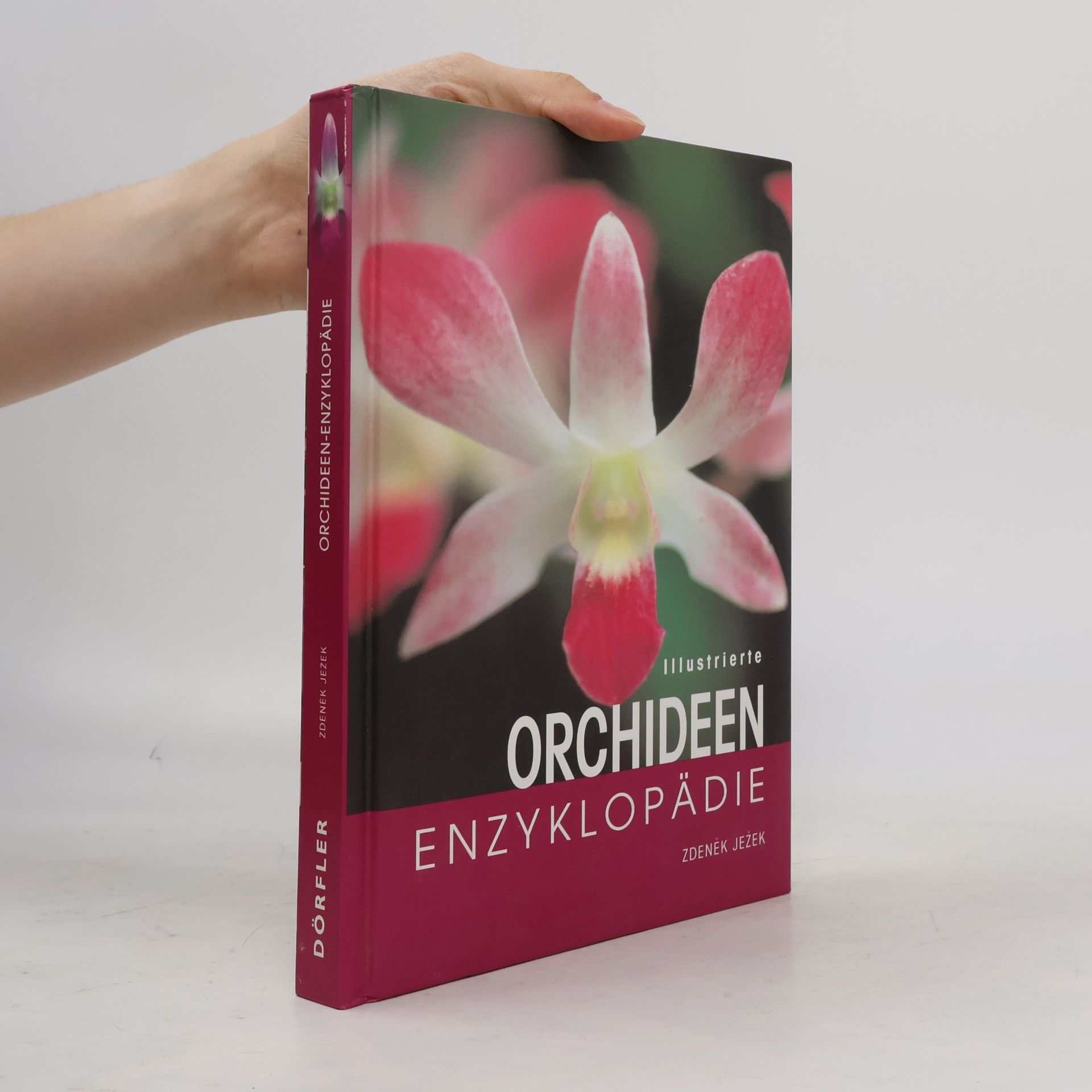 Zdeněk Ježek Illustrierte Orchideen-Enzyklopädie