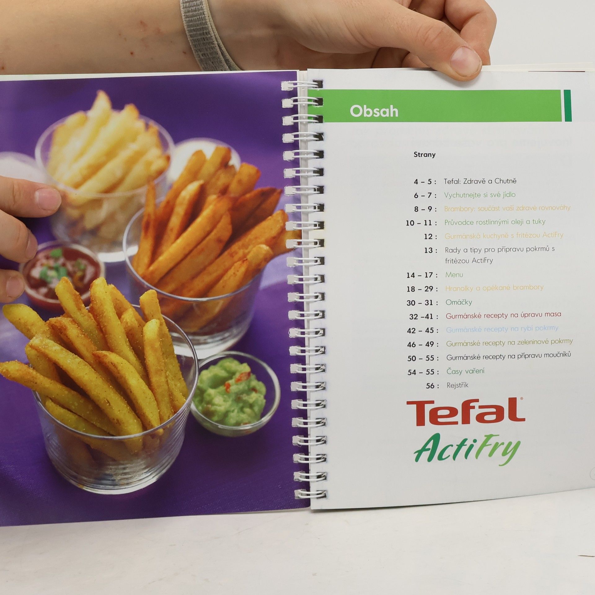 Kolektív autorov Tefal ActiFry. 20 Recipes