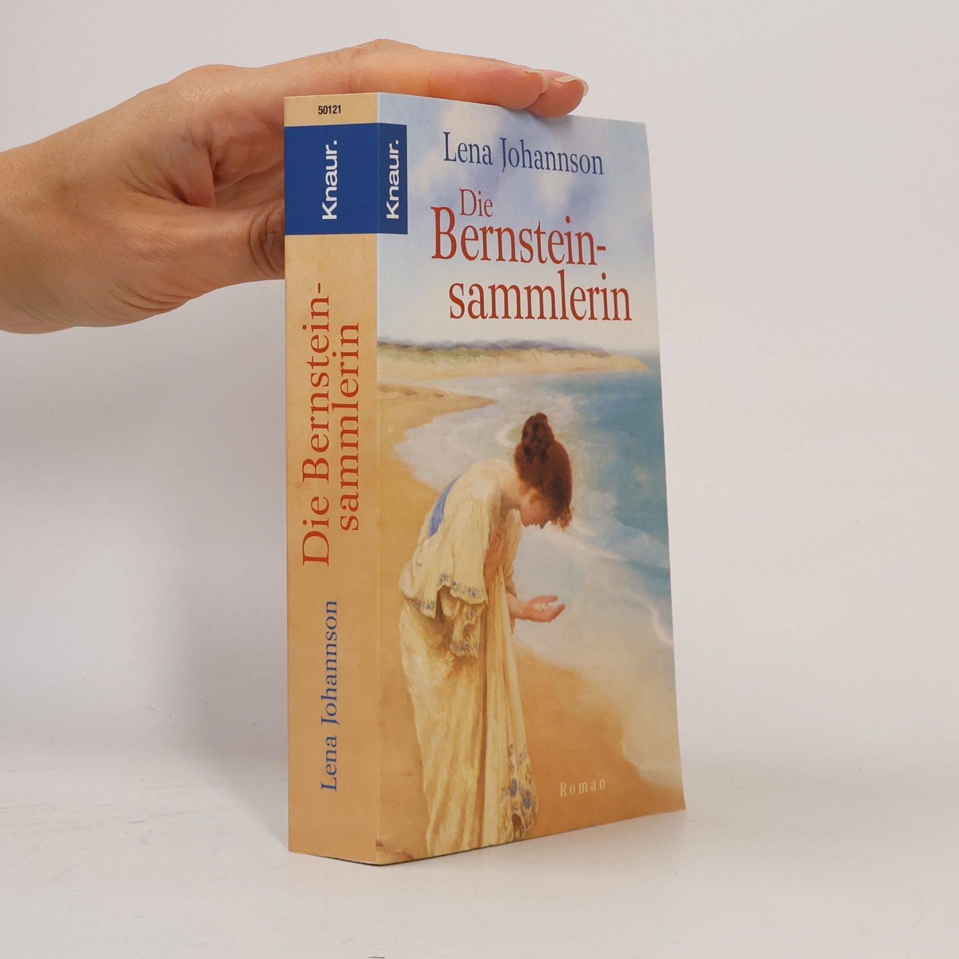 Lena Johannson Die Bernsteinsammlerin
