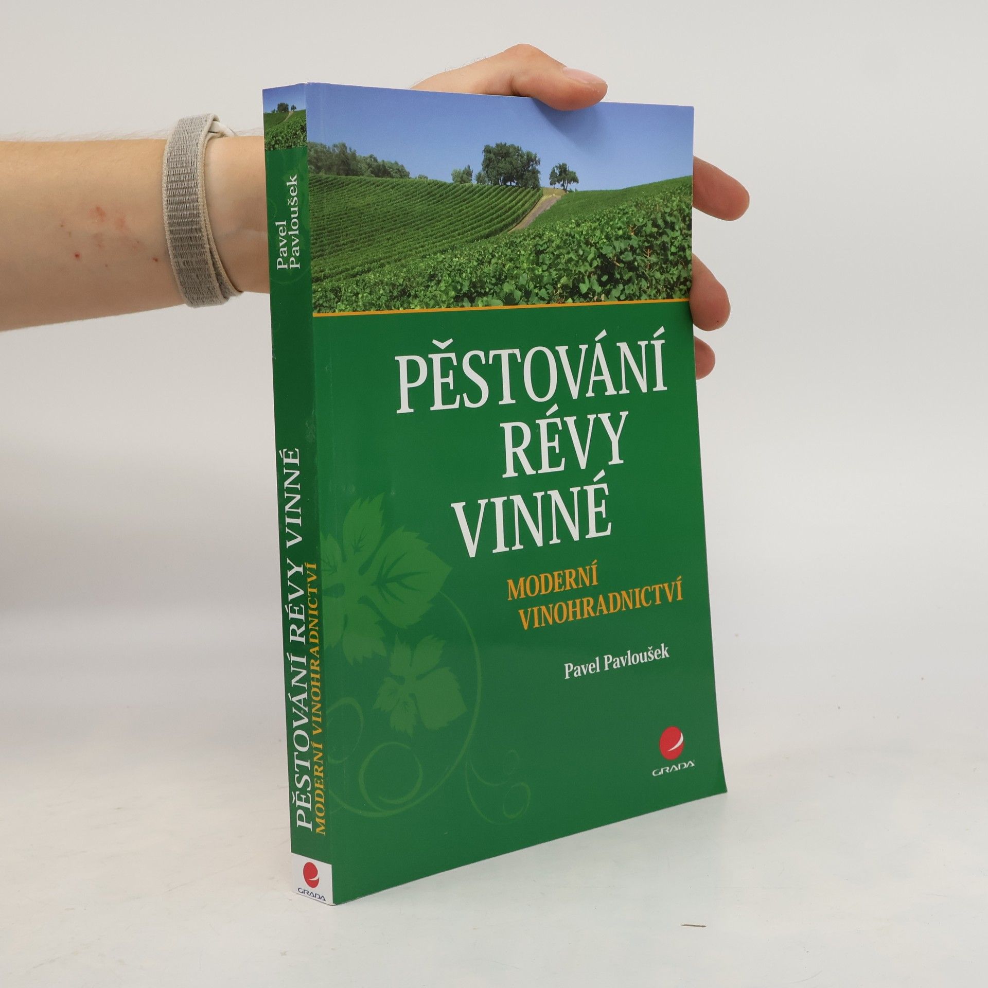 Patrik Burg Pěstování révy vinné
