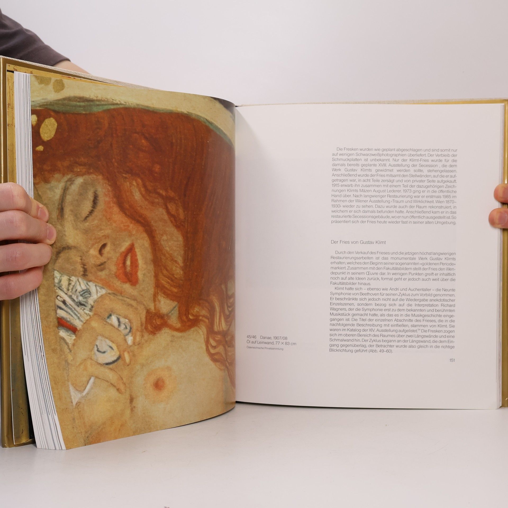 AA.VV. Klimt. Leben und Werk