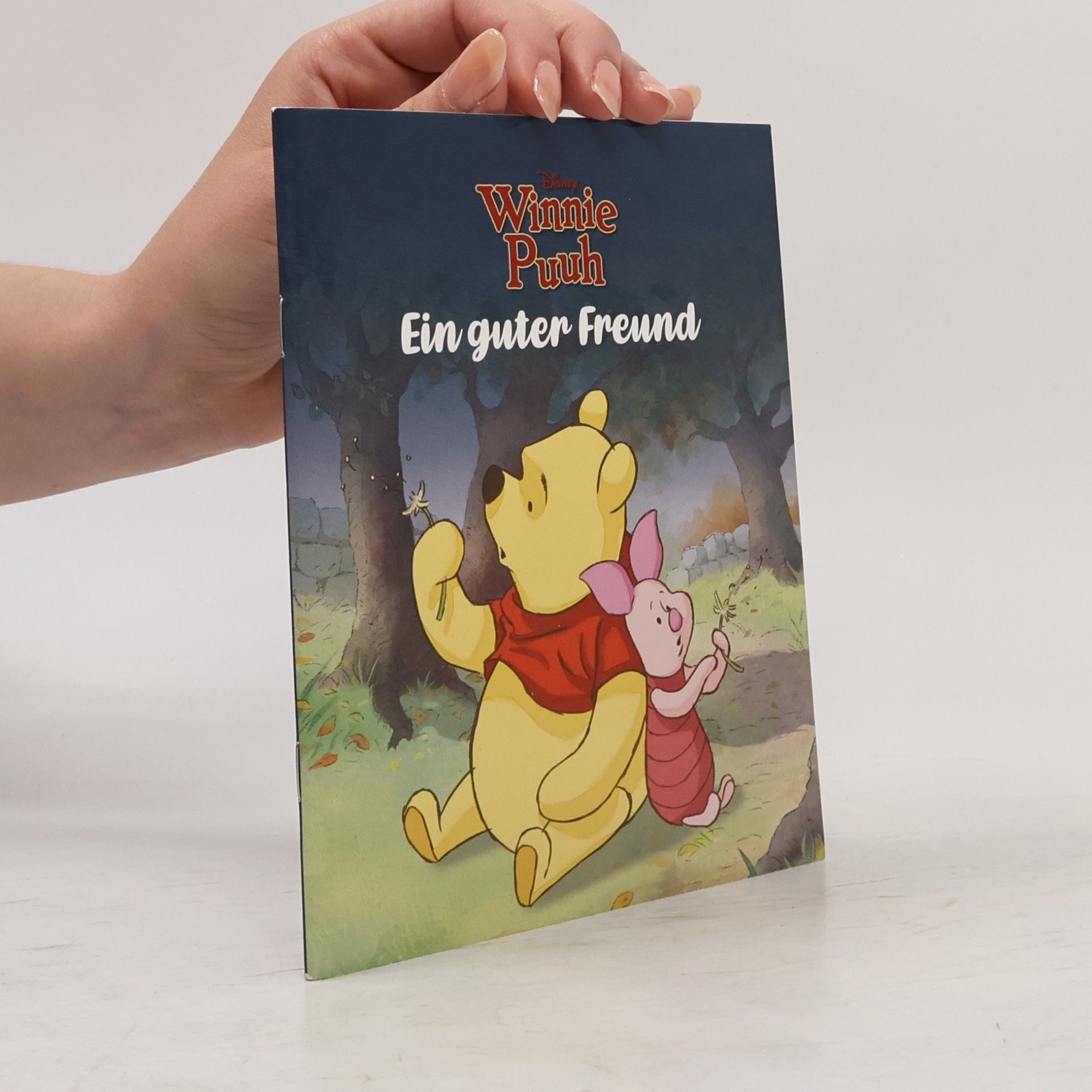 Autorenkollektiv Winnie Puuh. Ein guter Freund
