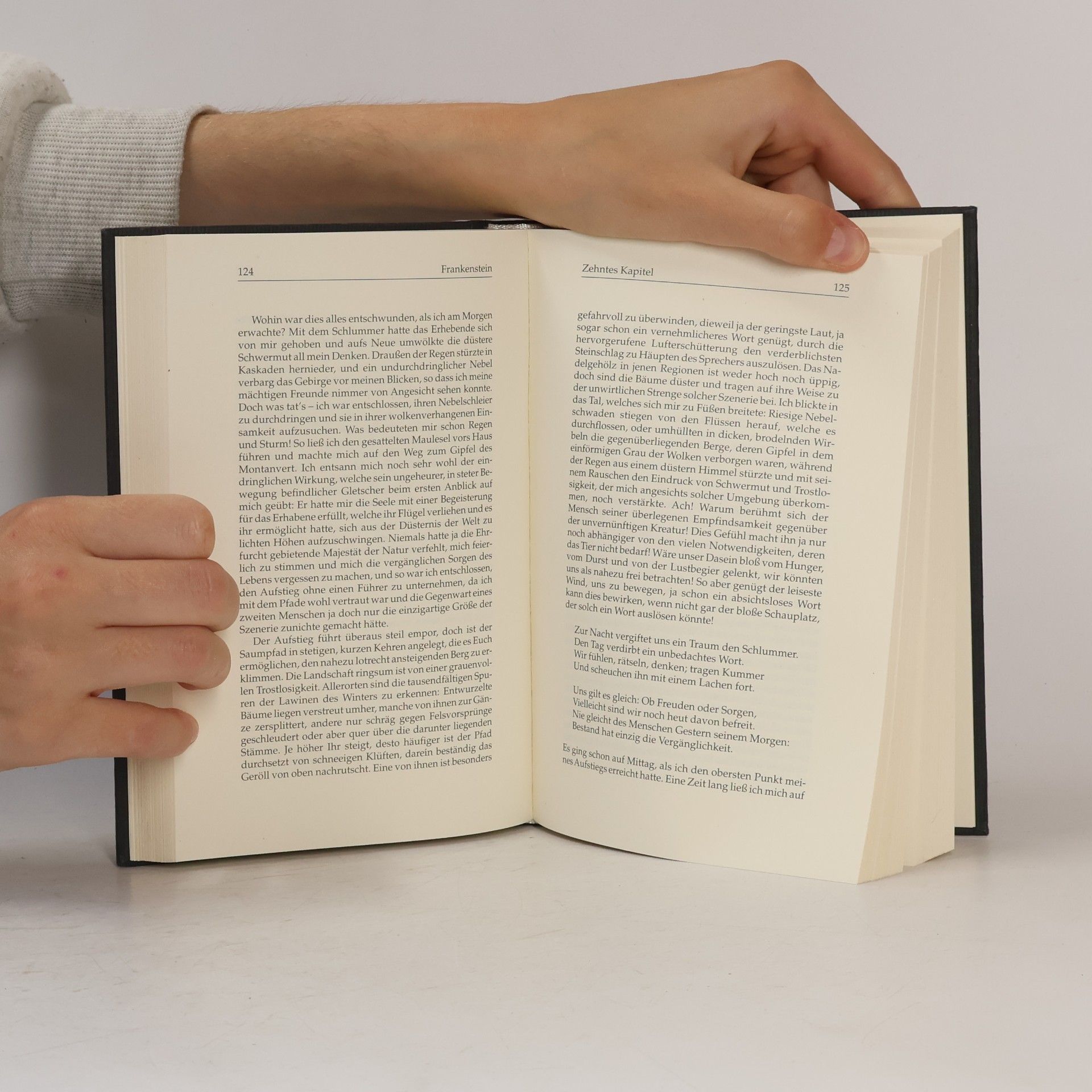 Mary W. Shelley Frankenstein oder Der neue Prometheus