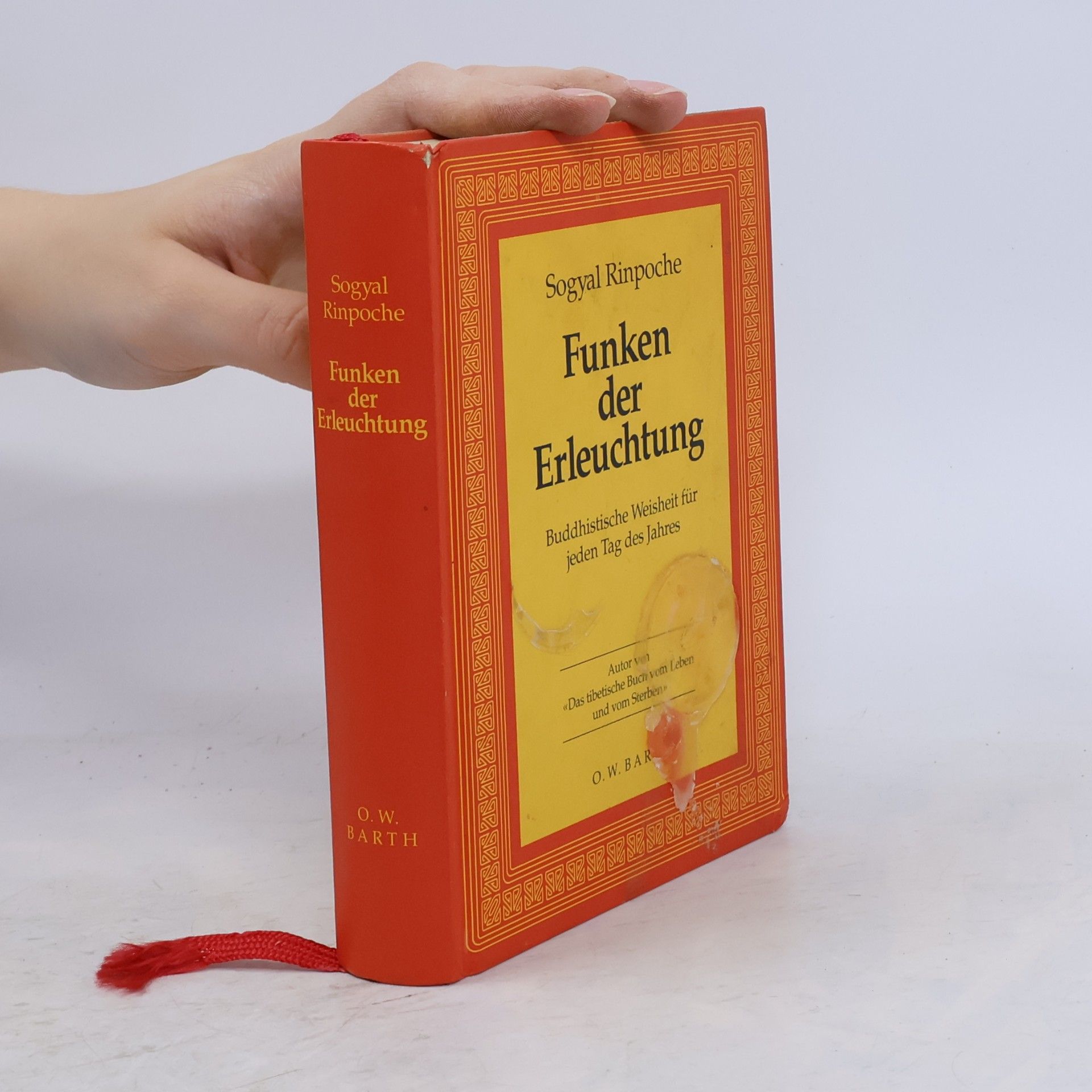 Funken der Erleuchtung