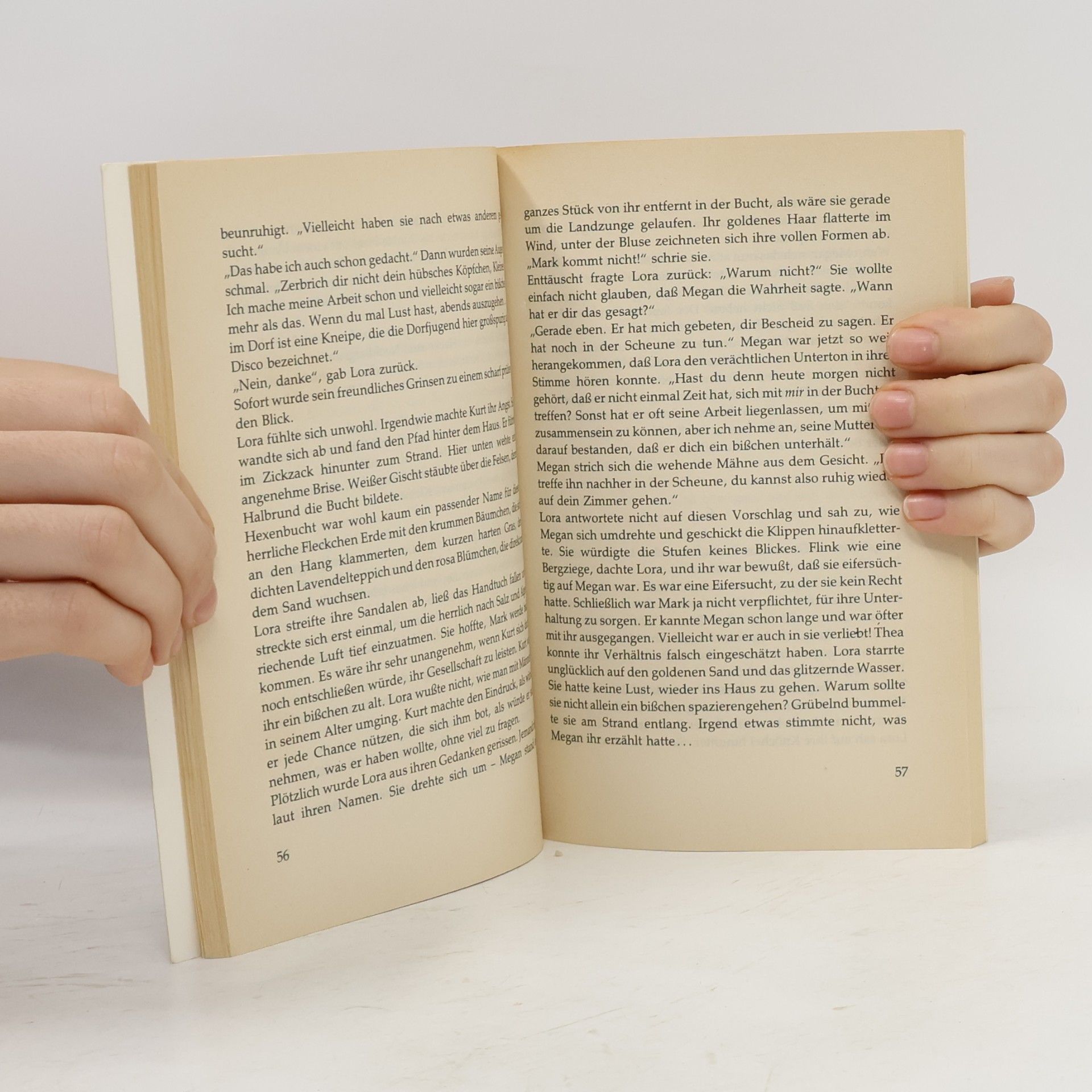 Marion Schultz Schneider Buch zum Träumen: Wolken über der Hexenbucht