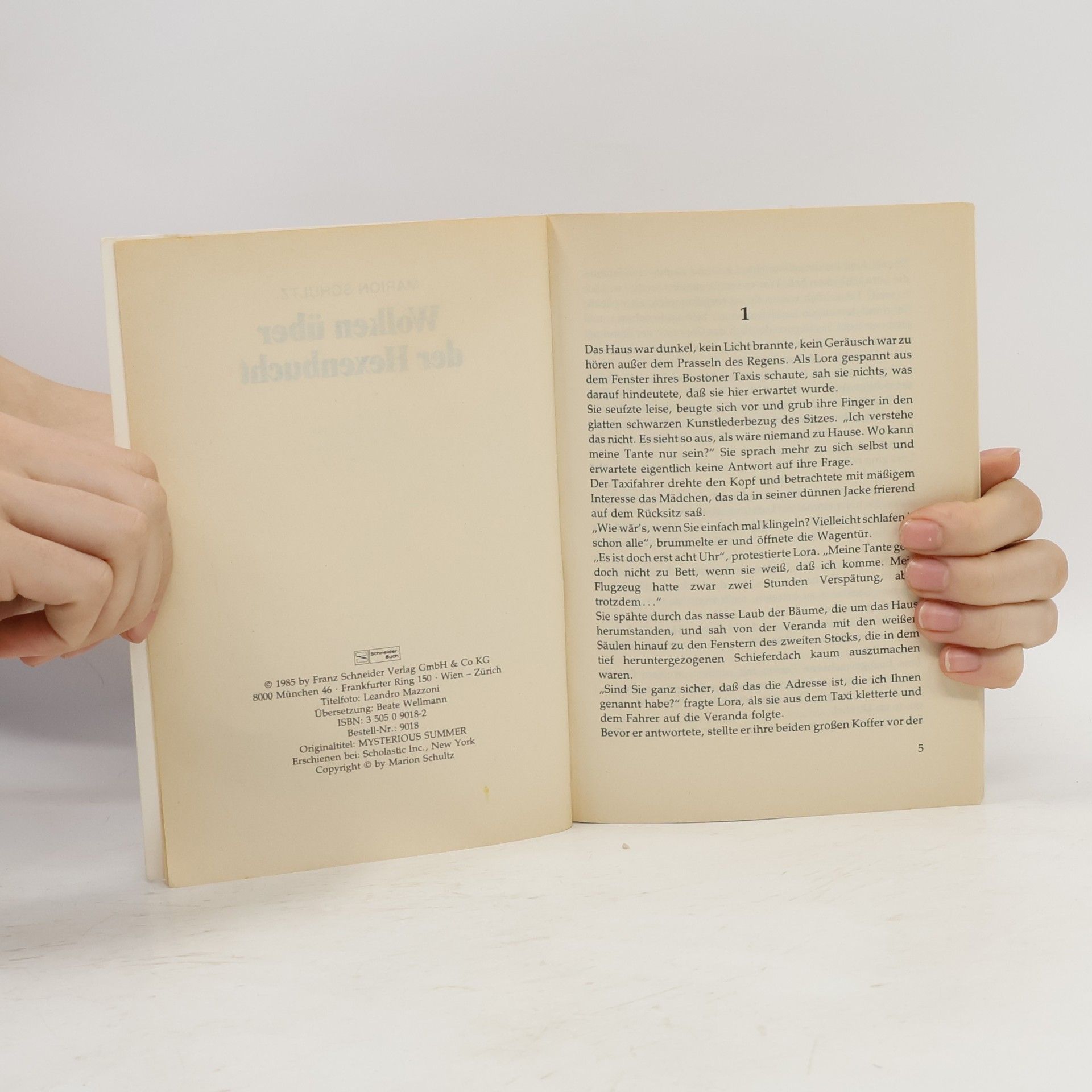 Marion Schultz Schneider Buch zum Träumen: Wolken über der Hexenbucht