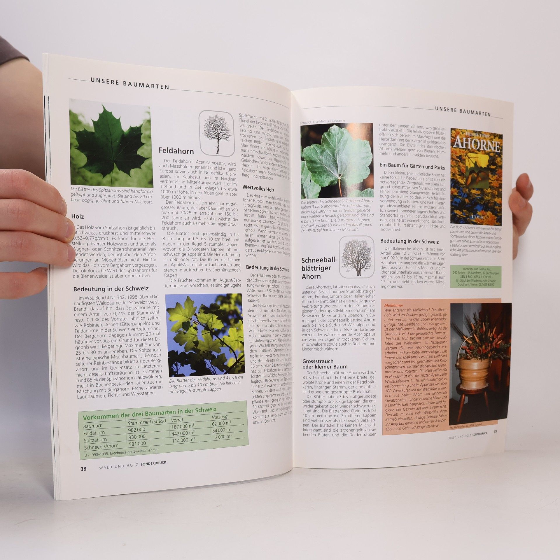 Autorenkollektiv Unsere Baum Arten