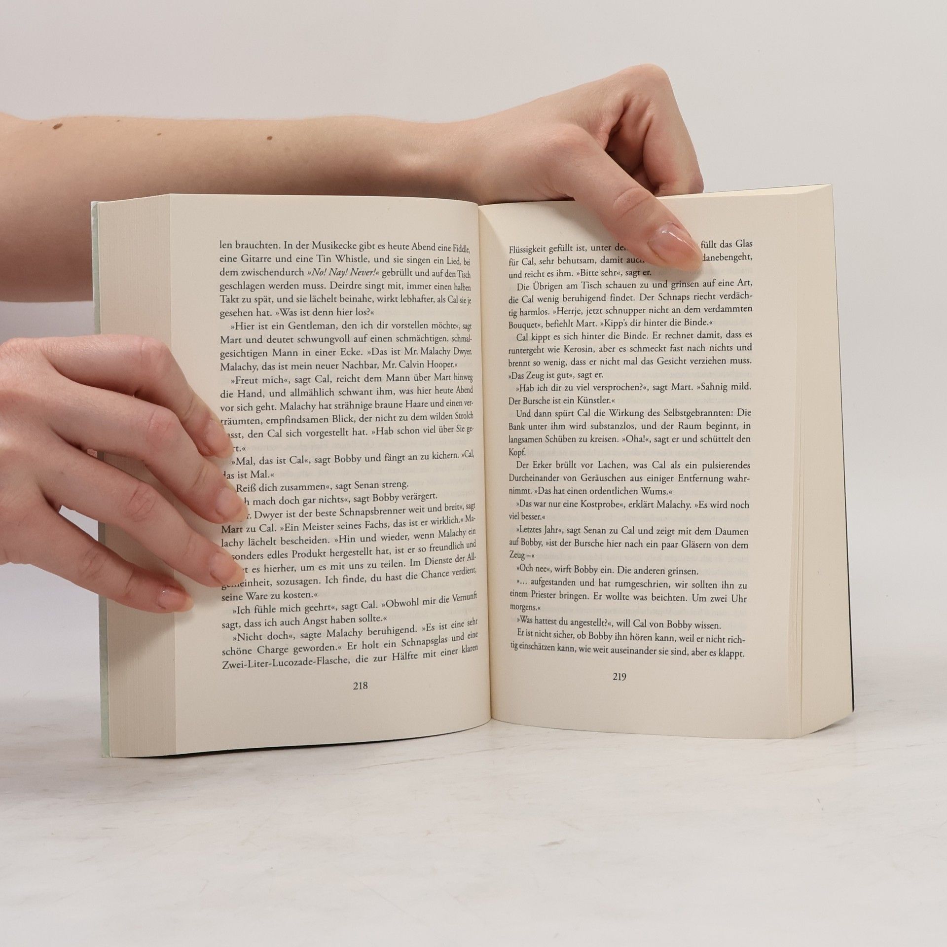 Tana French Der Sucher