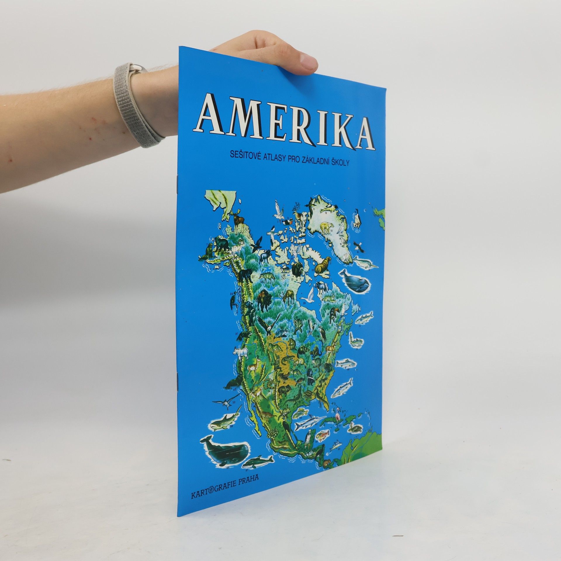 Kolektiv autorů Amerika
