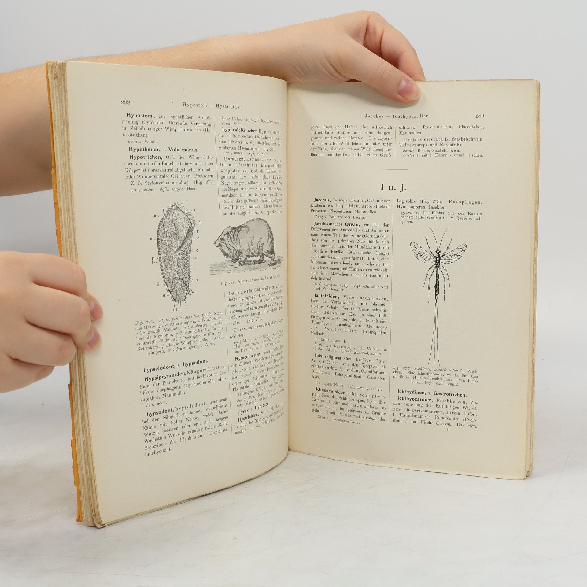 H. E. Ziegler Zoologisches Wörterbuch F-O