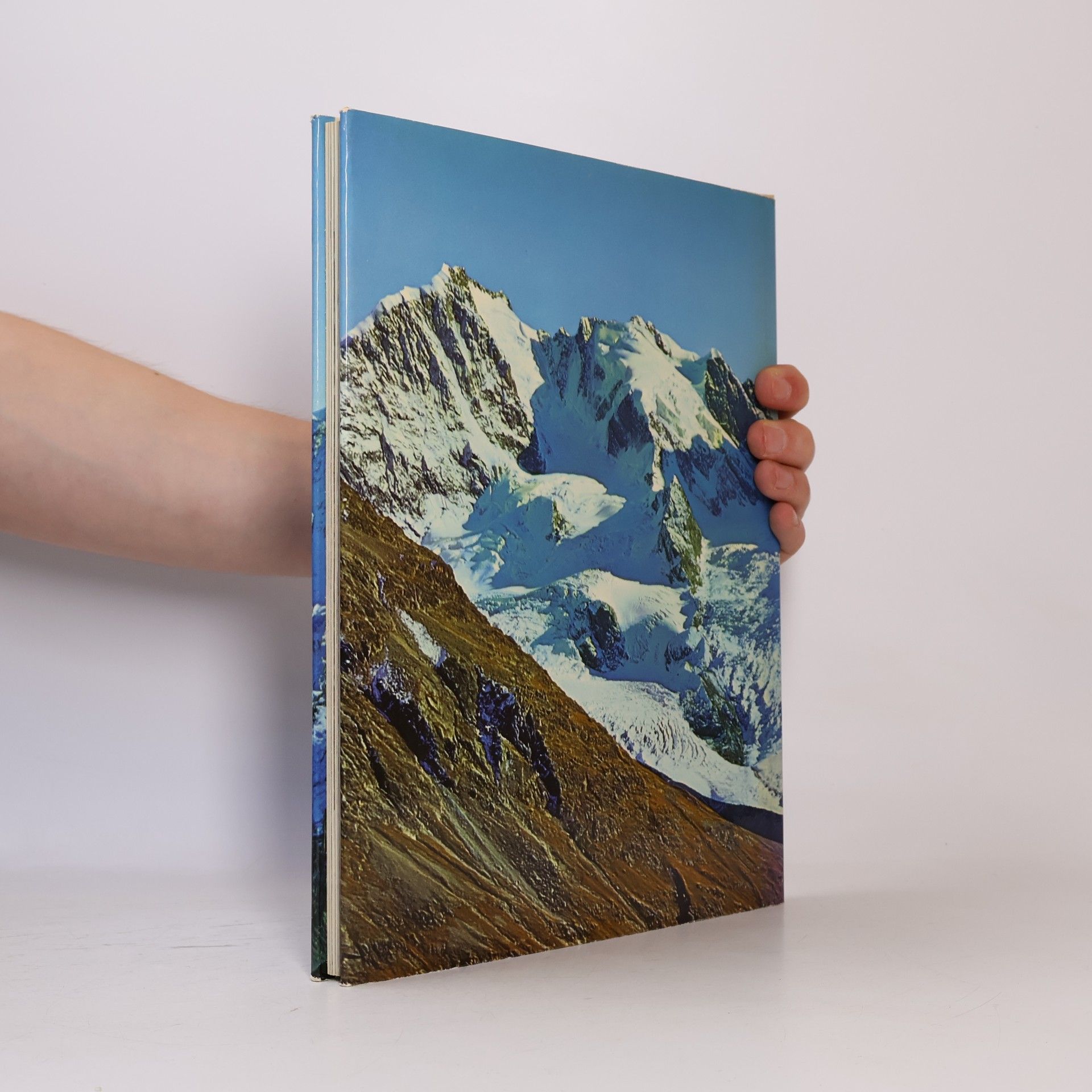 Max Albert Wyss Zauber der Berge