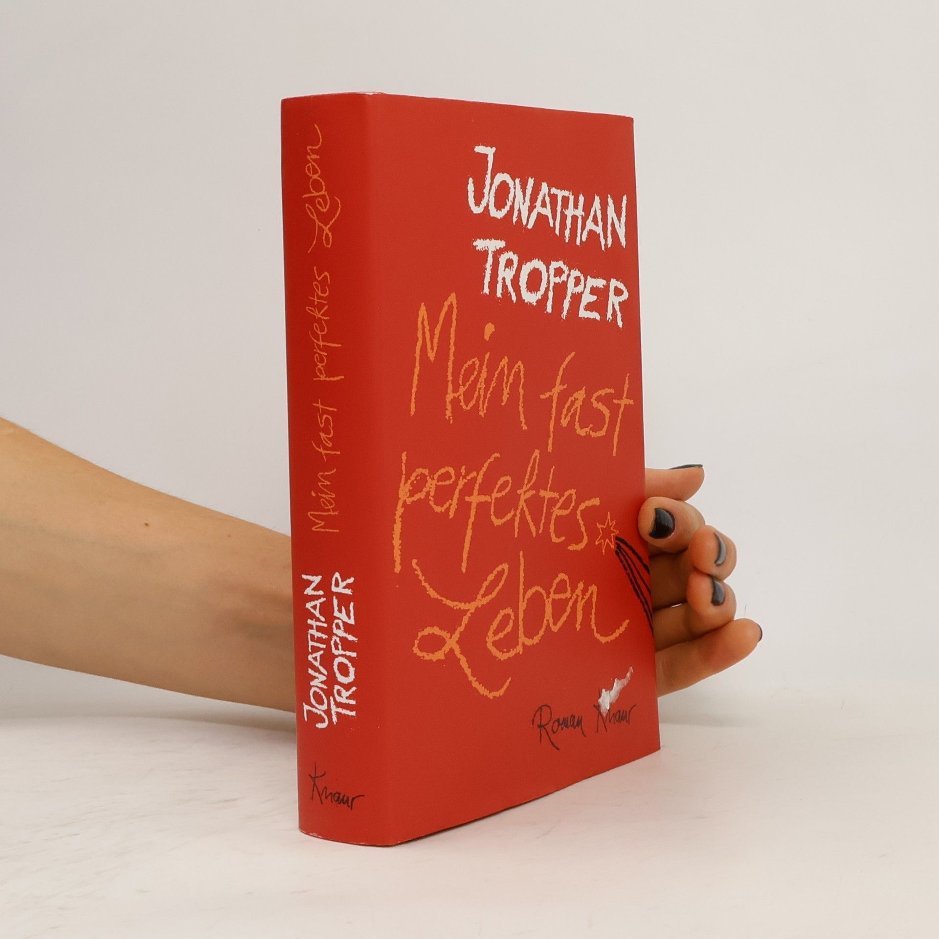 Jonathan Tropper Mein fast perfektes Leben