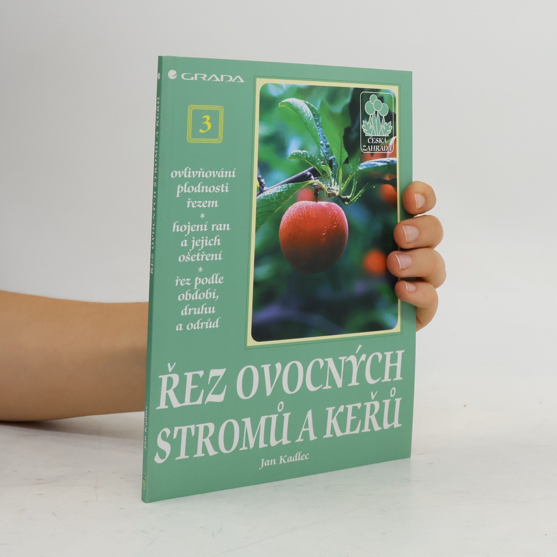 Řez ovocných stromů a keřů