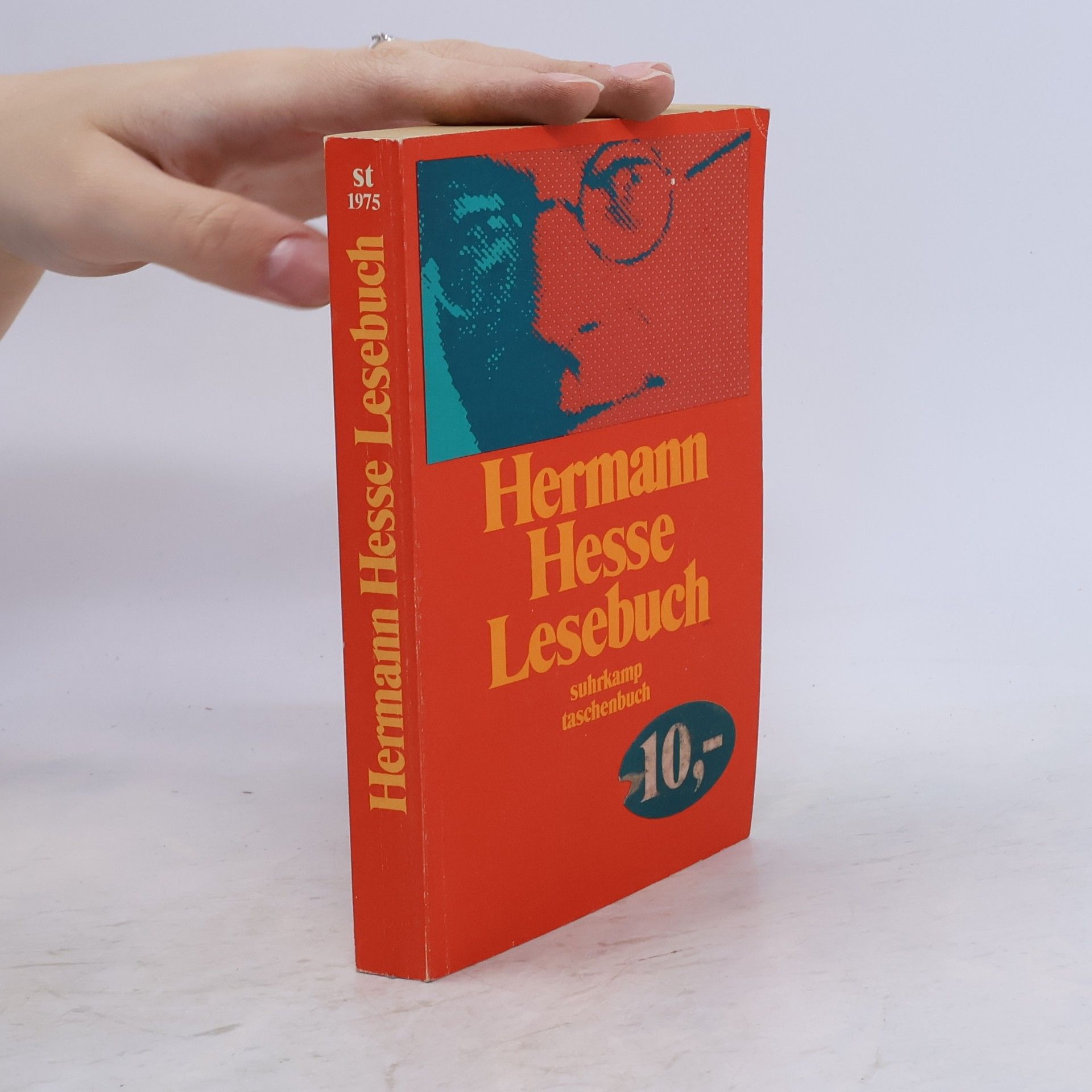 Hermann Hesse Lesebuch