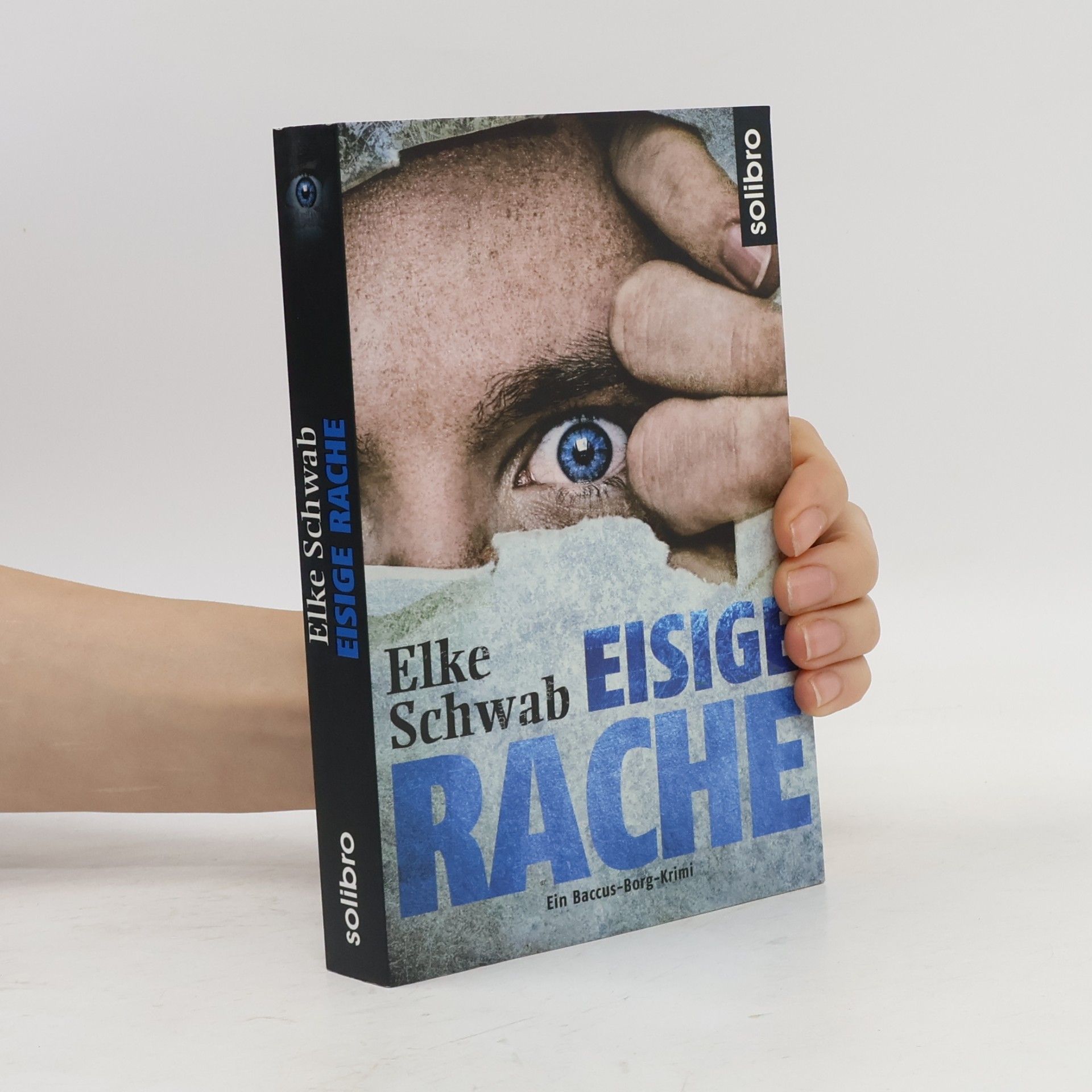 Elke Schwab Eisige Rache