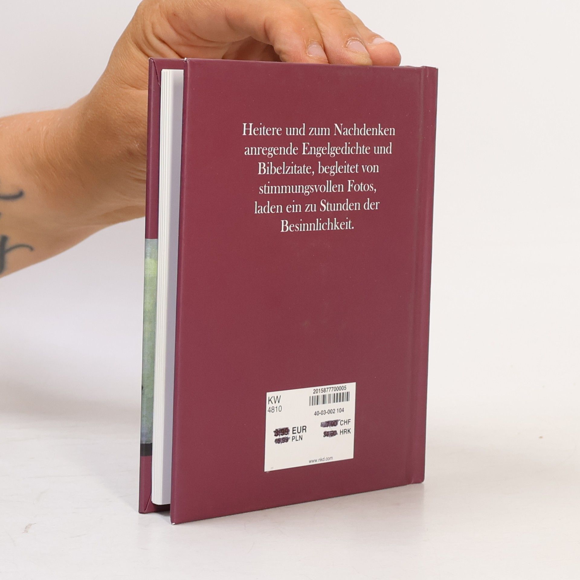Autores varios Die schönsten Engel