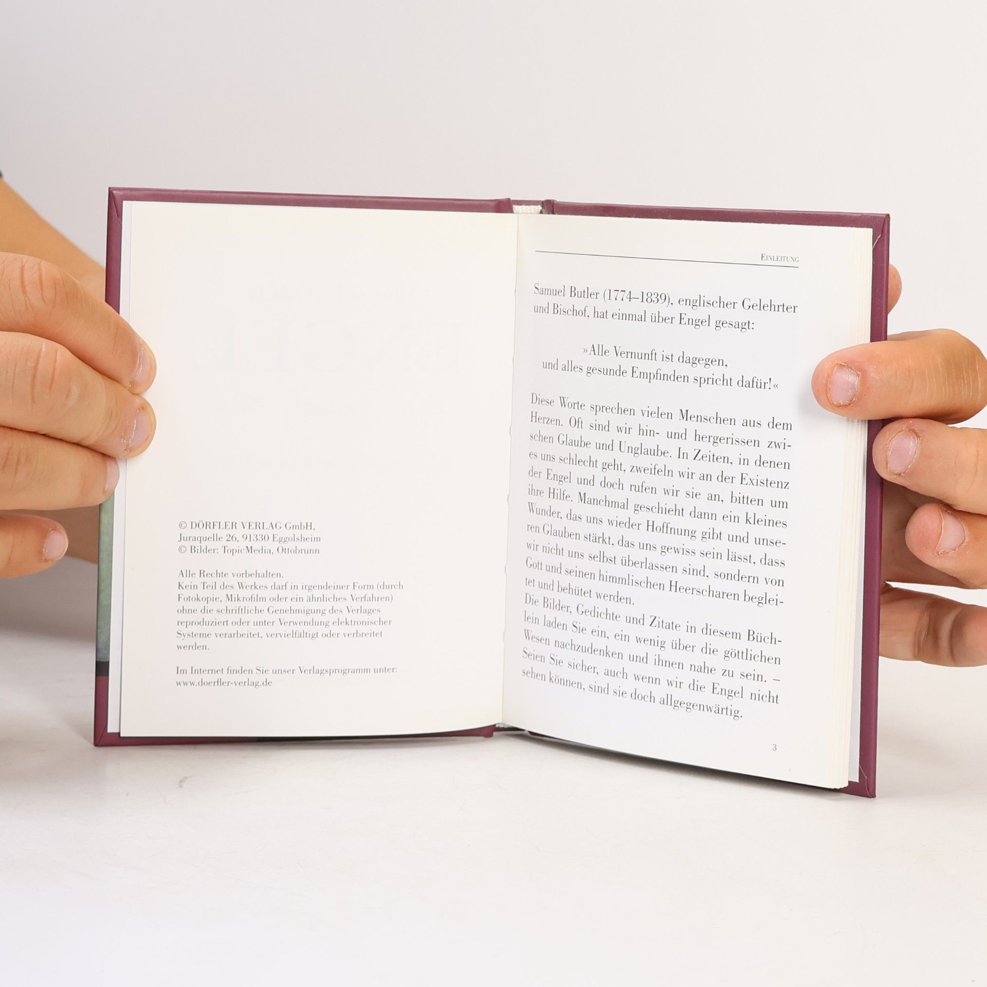 Autores varios Die schönsten Engel