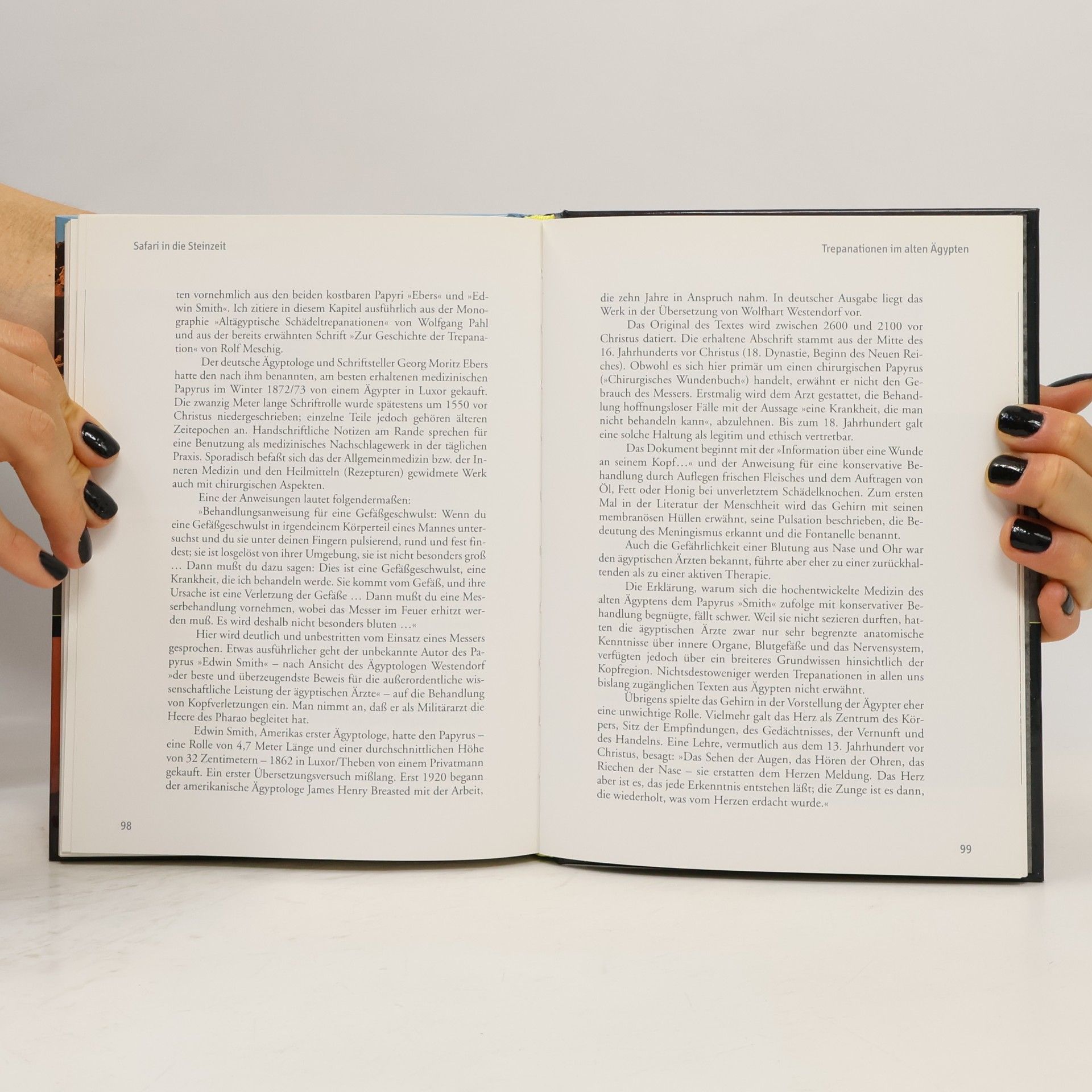 Various authors Terra X. Die Magie der Oase Siwa. Safari in die Steinzeit