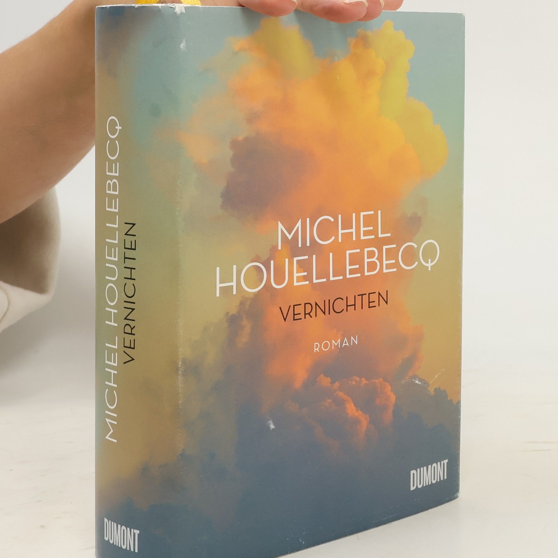 Michel Houellebecq Vernichten