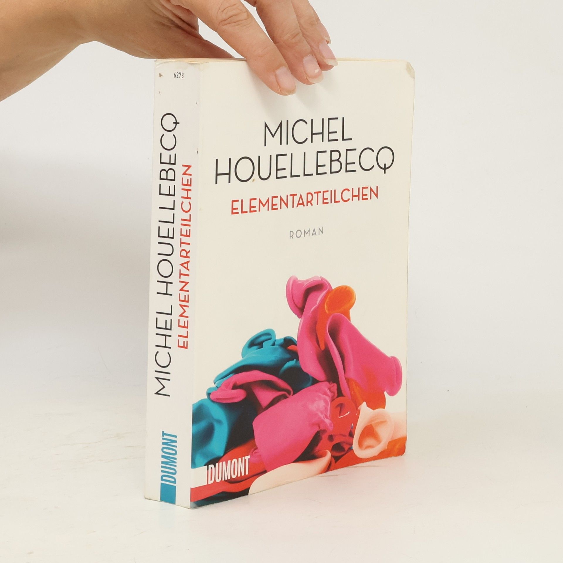 Michel Houellebecq Elementarteilchen
