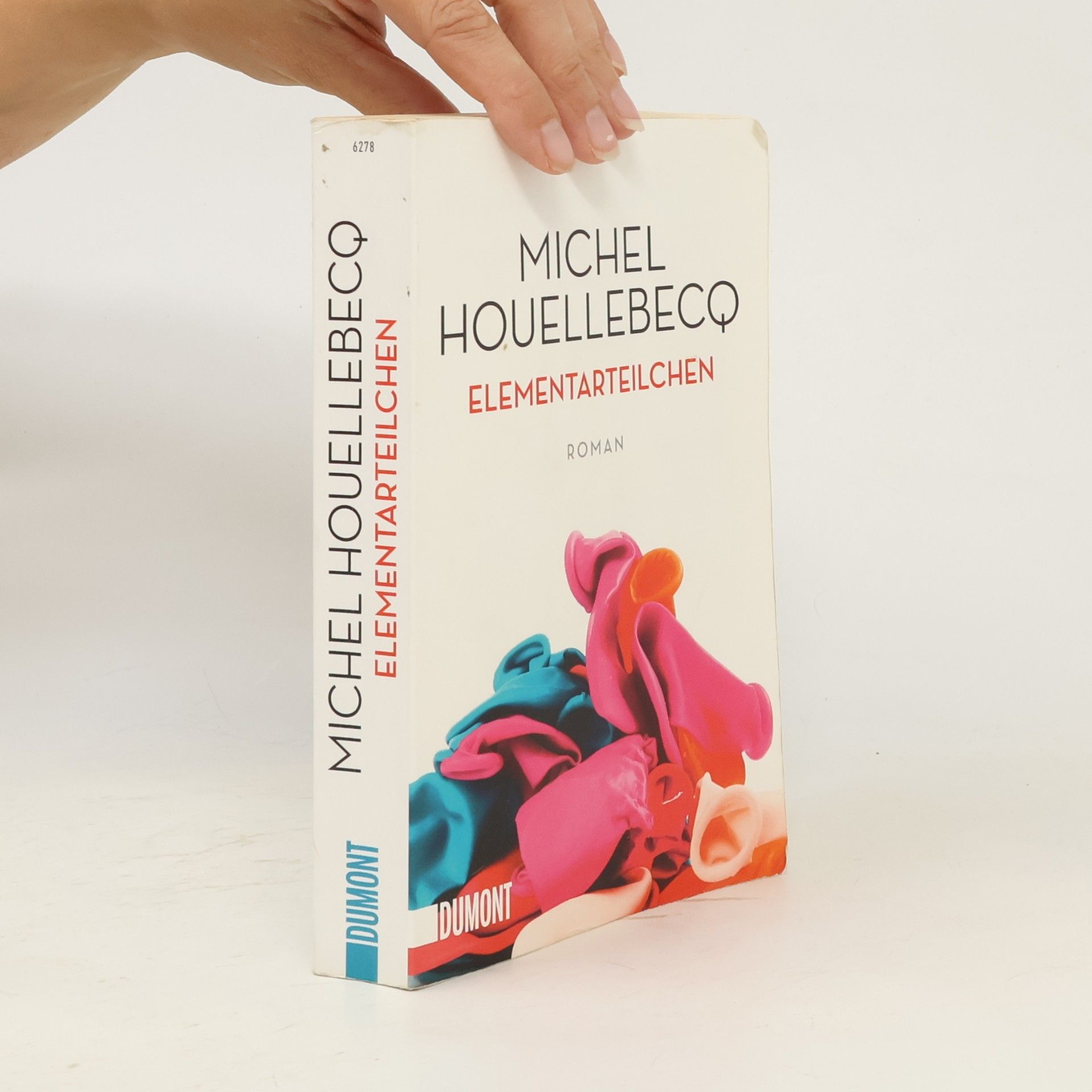 Michel Houellebecq Elementarteilchen