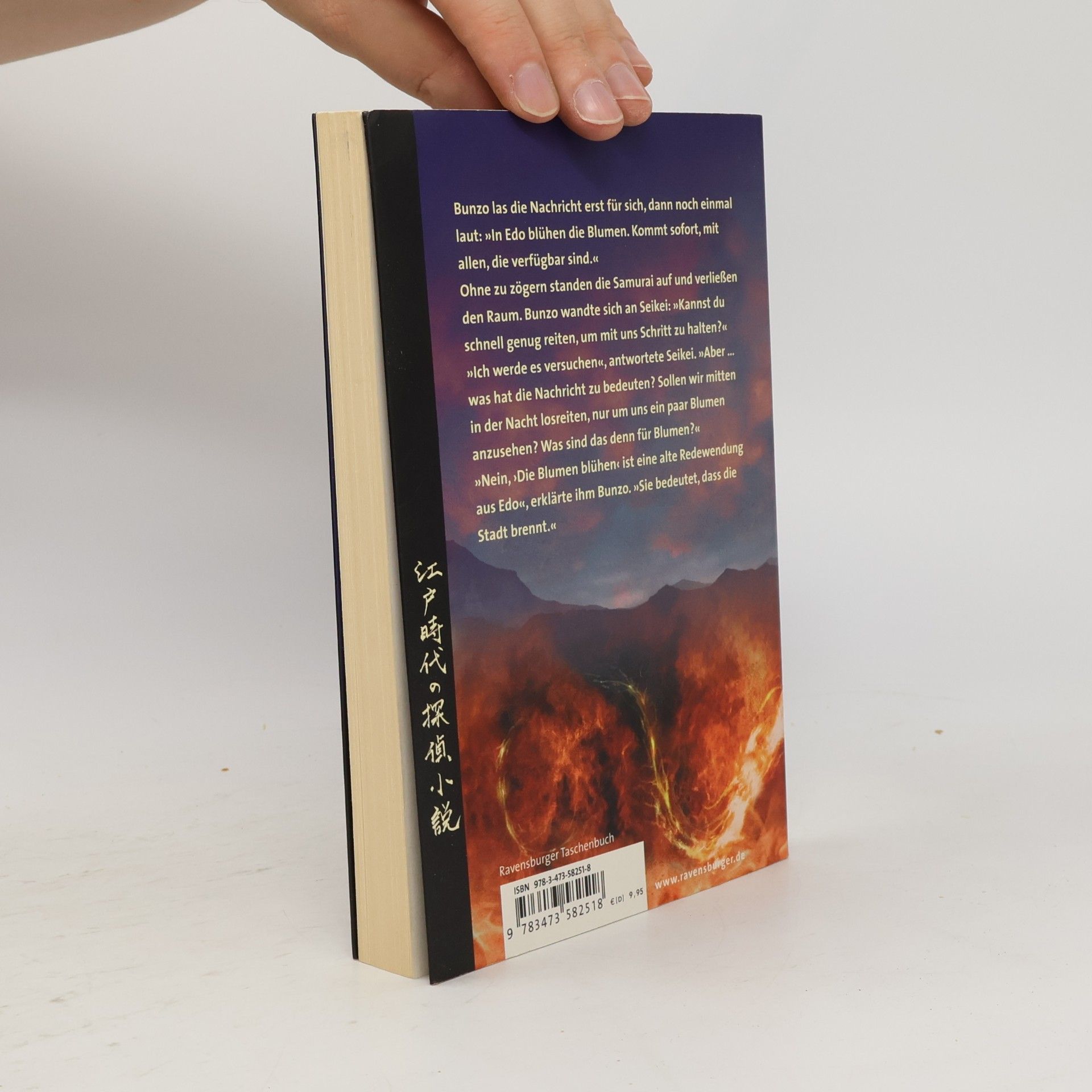 Dorothy Hoobler Die Rache des Feuerdämons