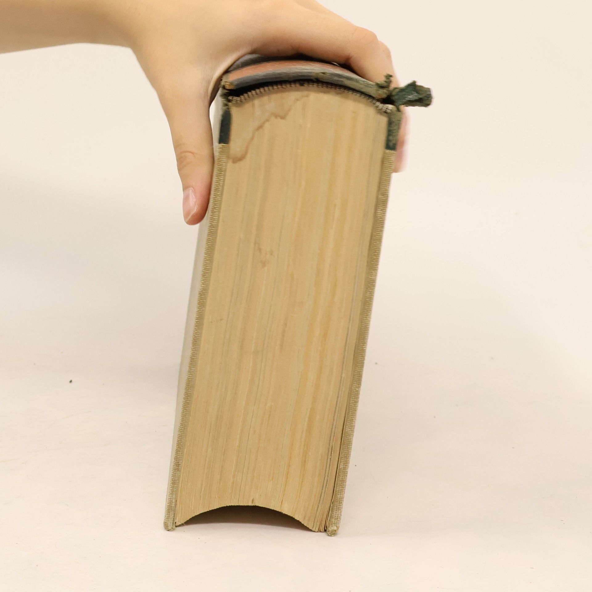 Autorenkollektiv Das Bertelsmann Bildungsbuch 5