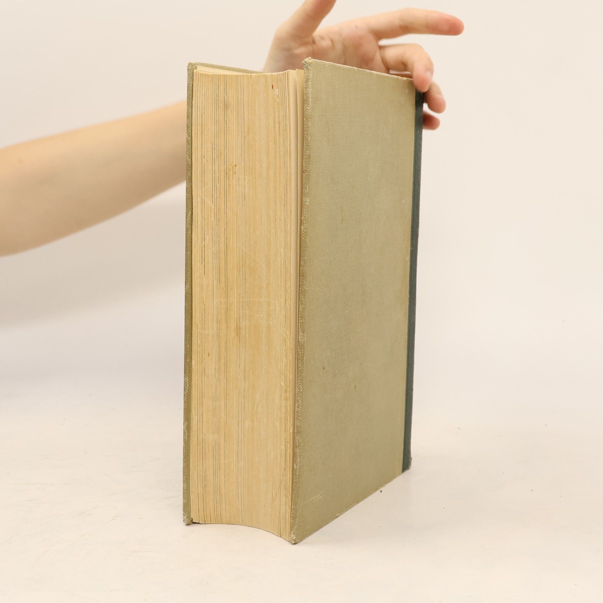 Autorenkollektiv Das Bertelsmann Bildungsbuch 5