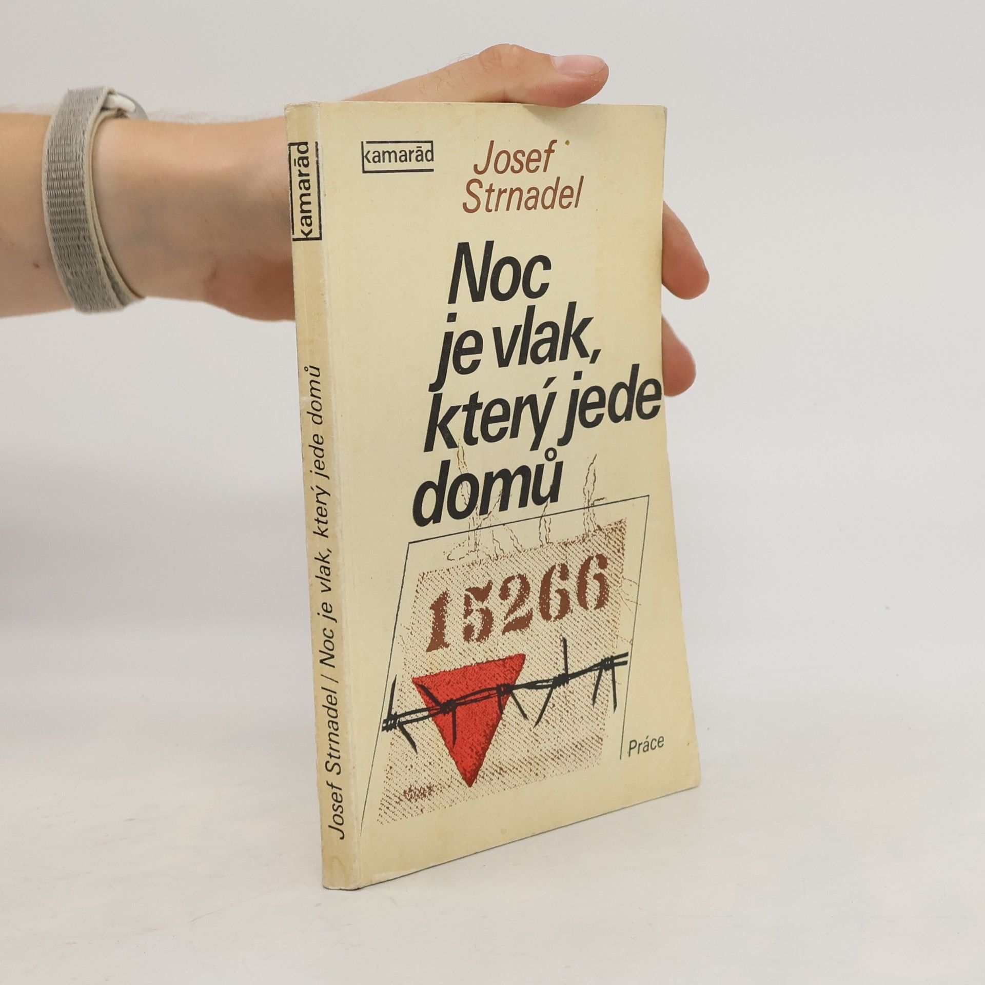 Josef Strnadel Noc je vlak, který jede domů